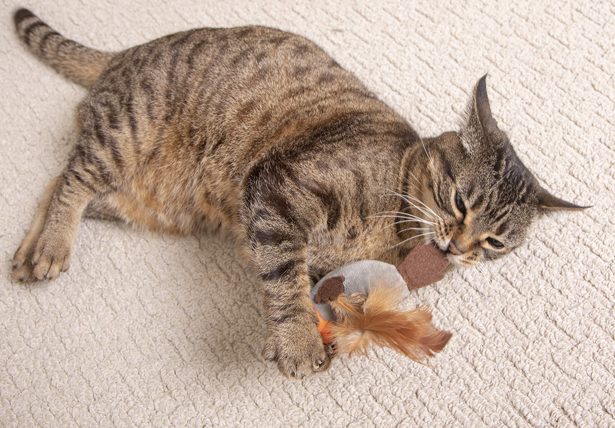 Petlinks Flutter Singer Electronic Sound Cat Toy, Battery Powered - Gray/Blue, One Size