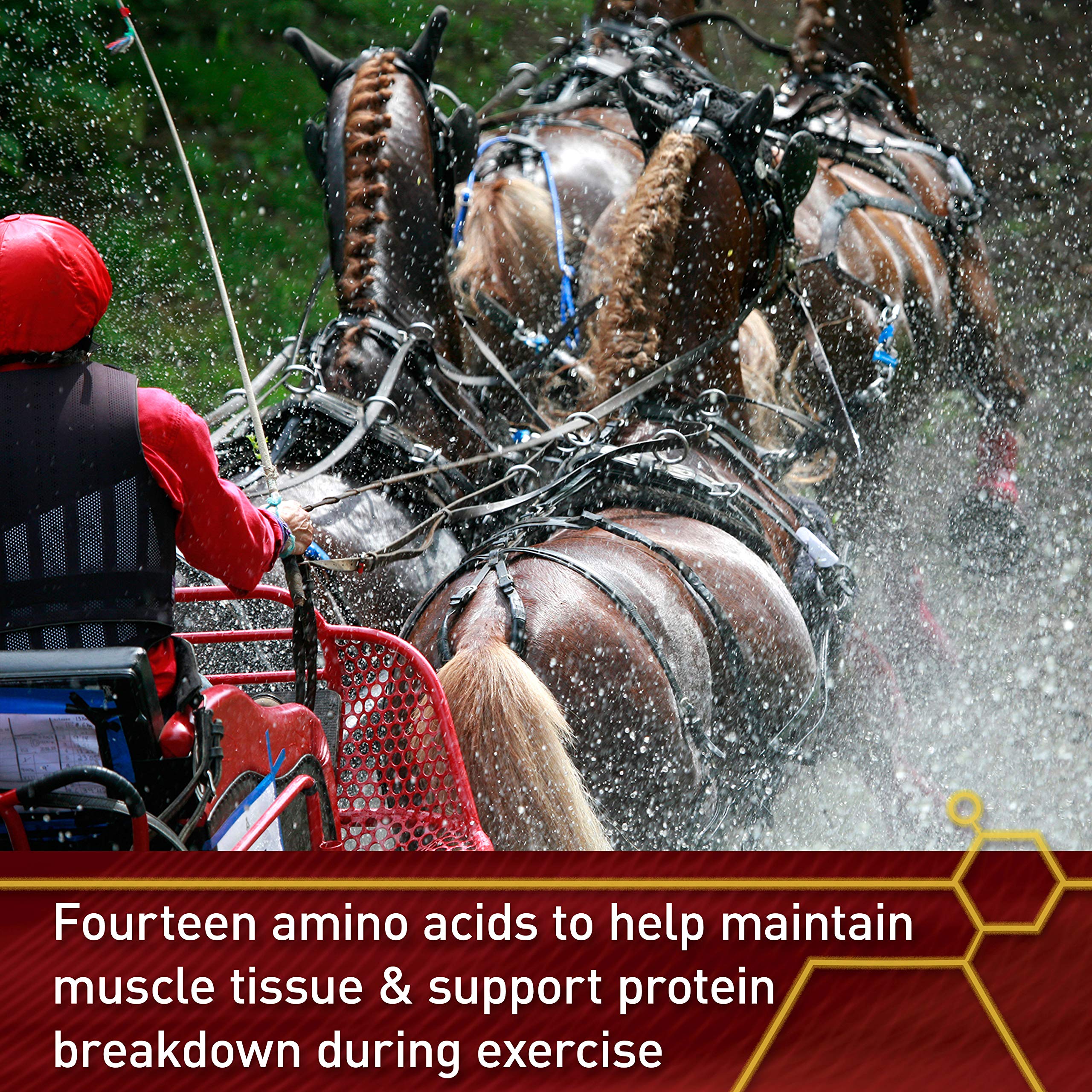 Vita Flex Pro Accel Health & Wellness Formula, Horse Supplement, 30 Pounds, 480-Day Supply