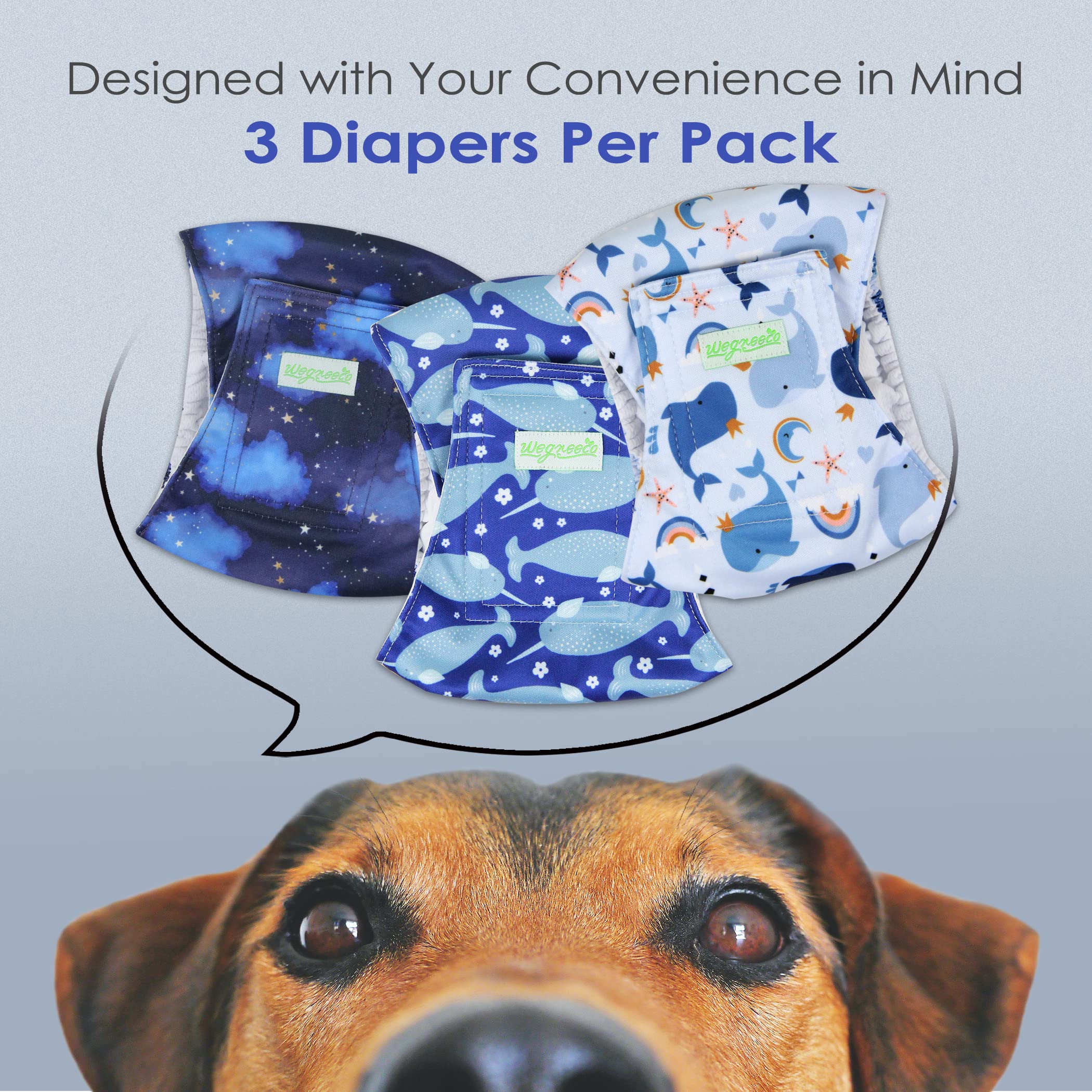 Wegreeco Washable Male Dog Belly Band (Stylish Pattern)- Pack Of 3 - Washable Male Dog Belly Wrap, Dog Diapers Male (Whale, Xl)