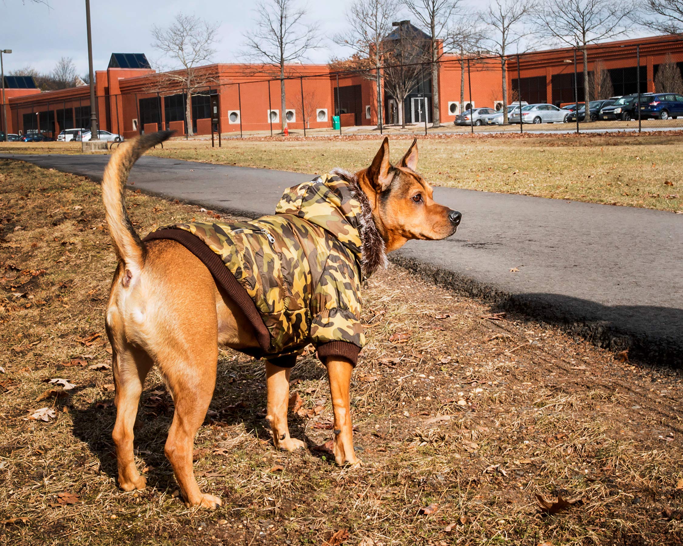 Pet Life DPF00013 Metallic Ski Parka Dog Coats with Removable Hood, Small, Camouflage