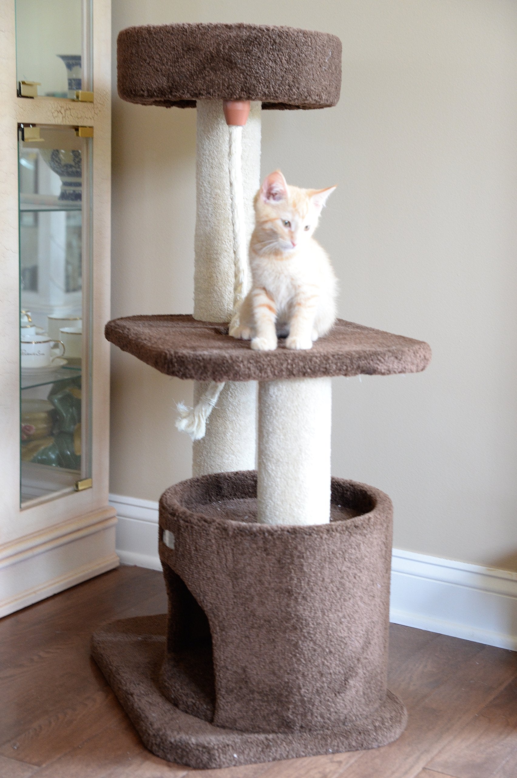 Armarkat 3-Tier Carpeted Cat Tree Condo F3703, Real Wood Kitten Activity Tree, Brown