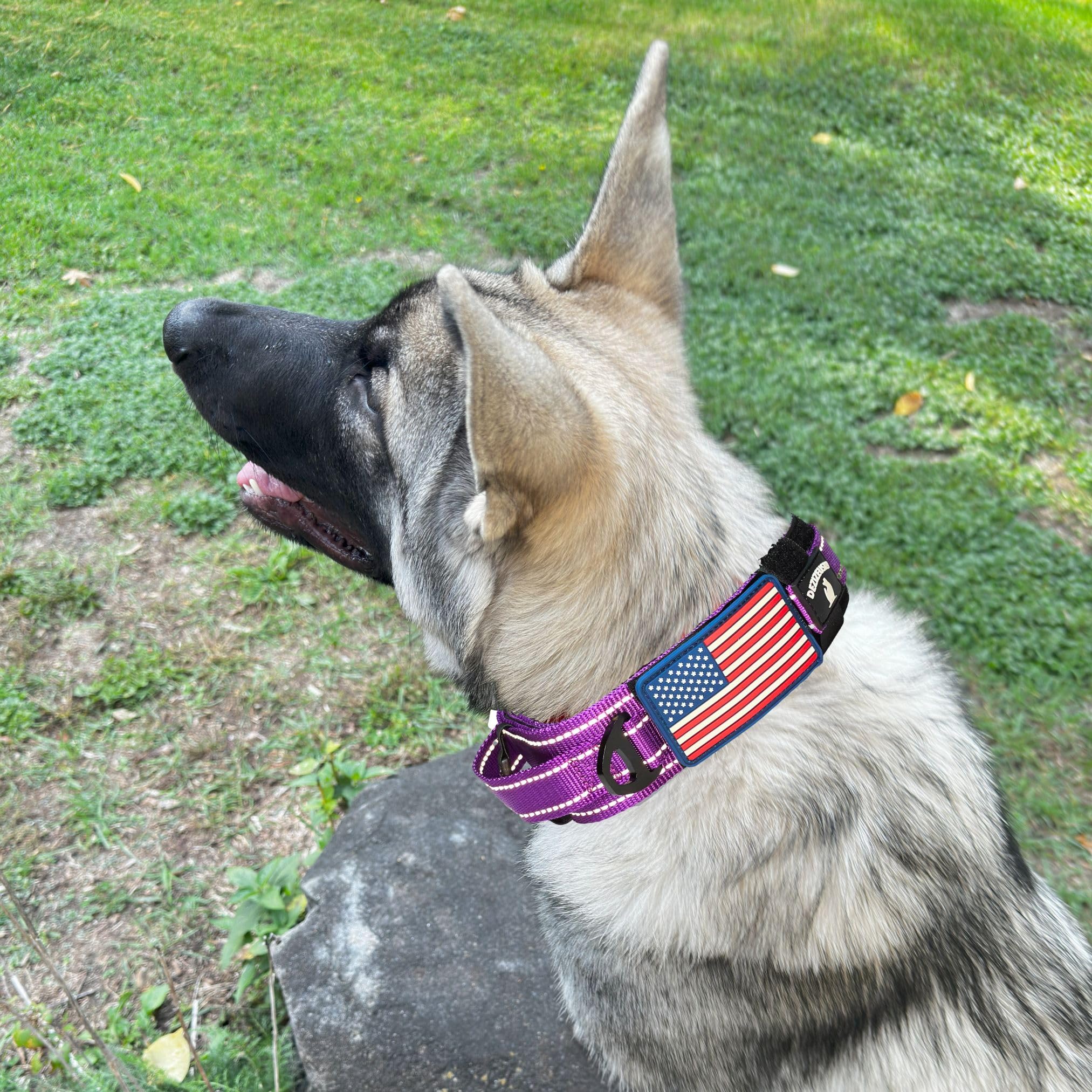 2-Inch Wide Tactical Dog Collar with Control Handle, Adjustable for Medium & Large Dogs, Military Style with Heavy-Duty Metal Bu