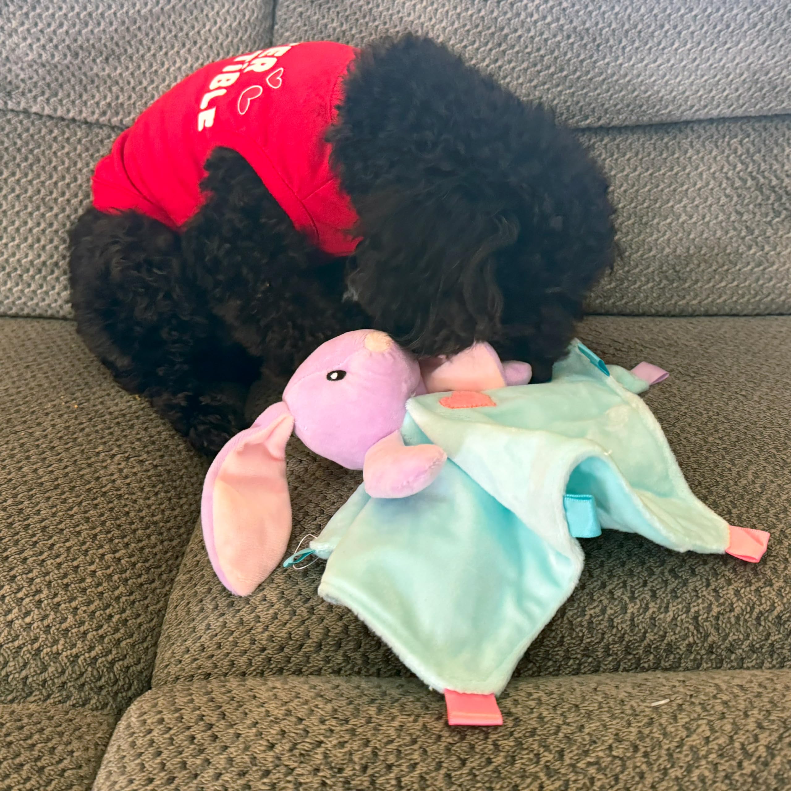 Spot Soothers - Blanket - Soft And Cuddly Dog & Puppy Toy With Lavender Scented Beads To Calm And Relax Your Pet, Provides Separation Anxiety Relief Due To Travel, Thunder And Loud Noises