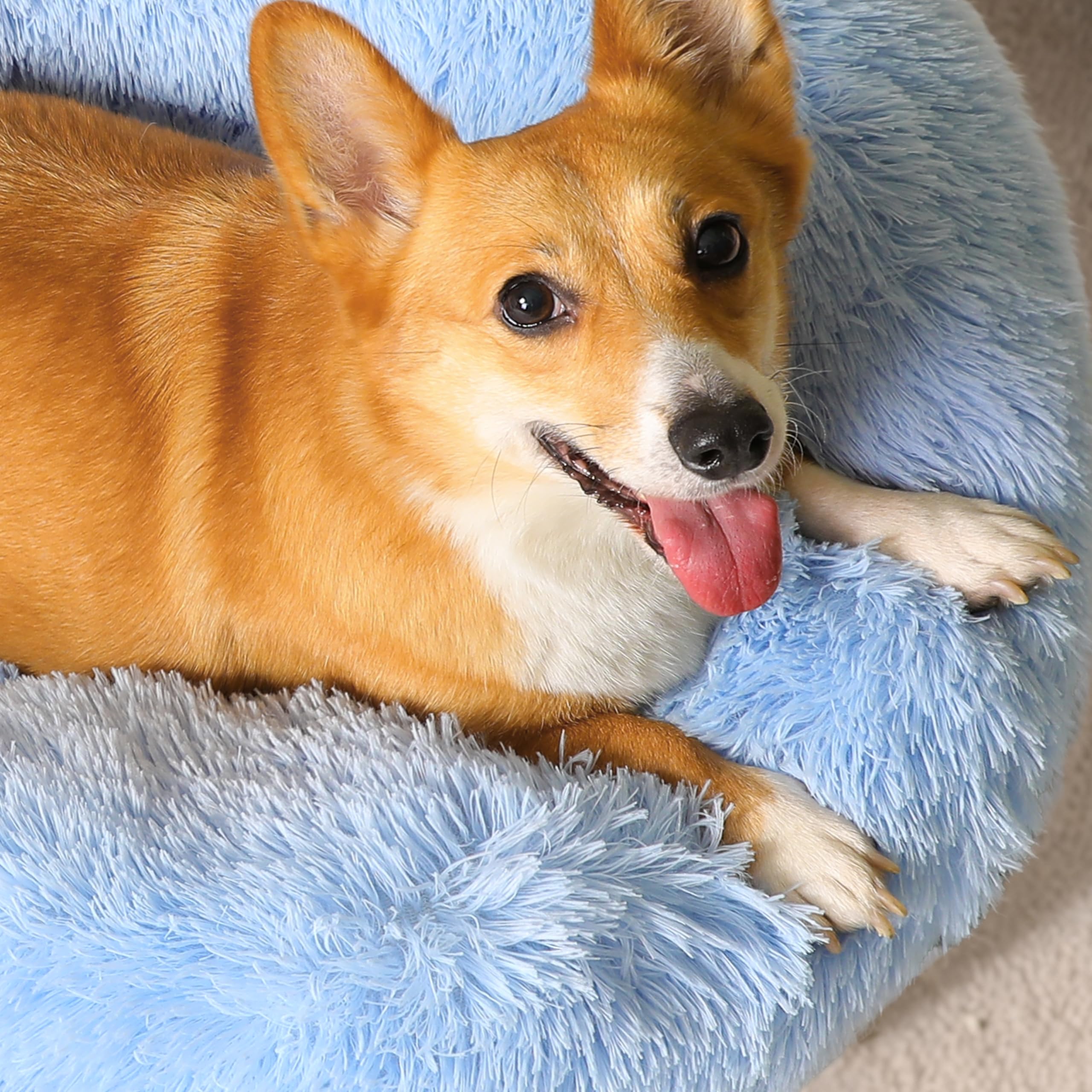 Western Home Wh Calming Dog Bed & Cat Bed, Anti-Anxiety Donut Dog Cuddler Bed, Warming Cozy Soft Dog Round Bed, Dog Cat Cushion Bed For Small Medium Dogs And Cats