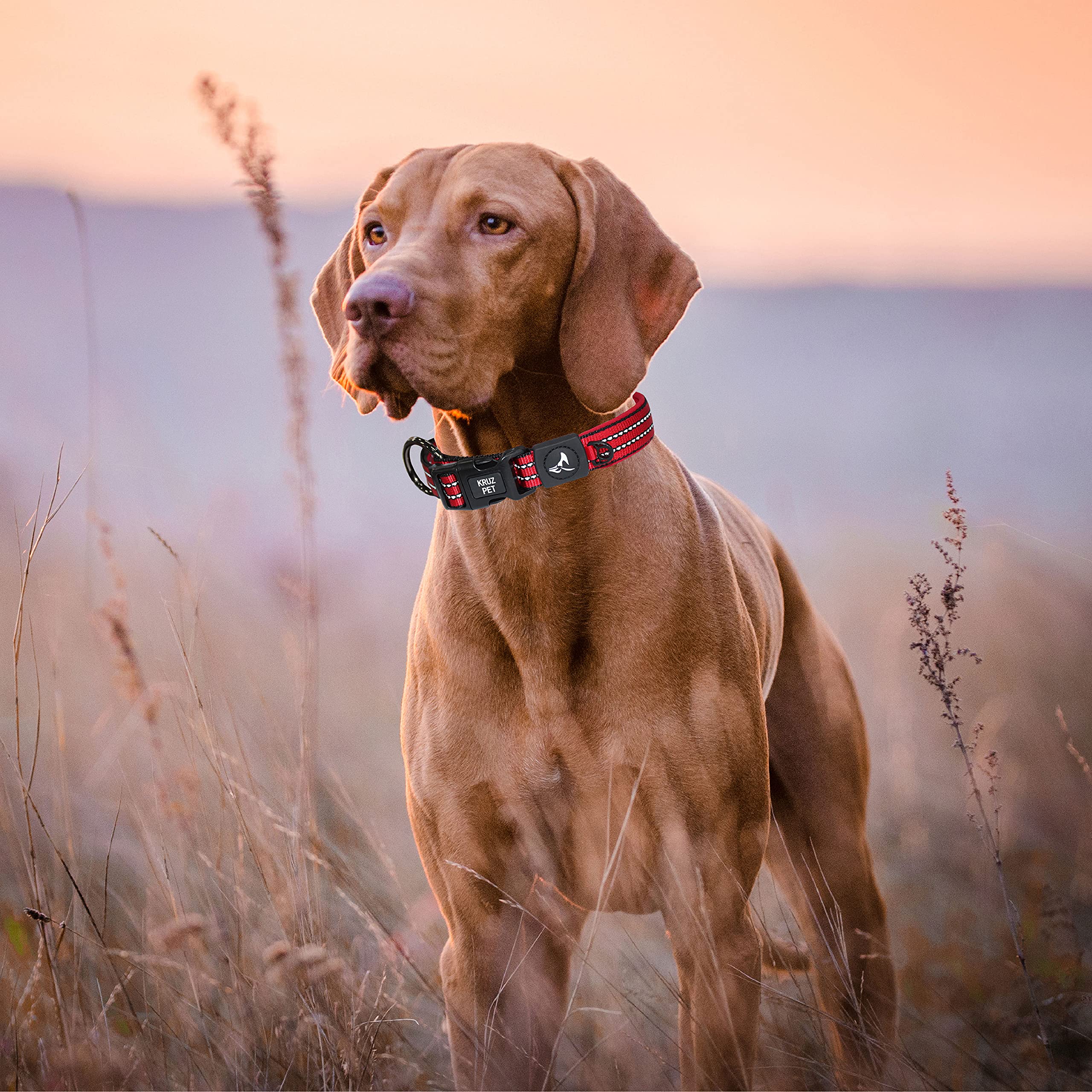 Kruz Pet Kzv006-03L Reflective Dog Collar For Small, Medium, Large Dogs, 100% Nylon Adjustable Pet Neck Collar, Heavy Duty O-Ring, Soft, Comfortable Neoprene Padding - Red - Large