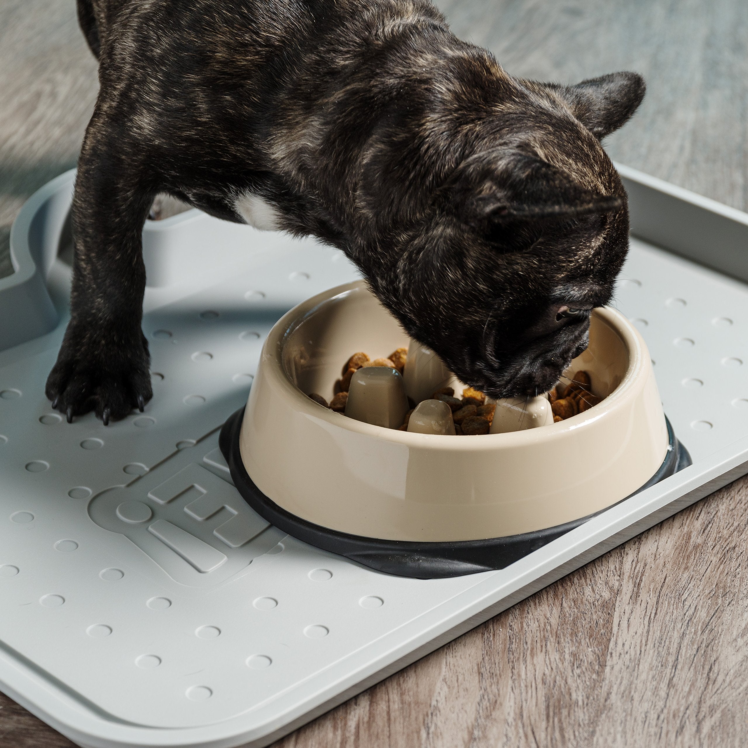 IRIS USA Small Slow Feeder Bowl for Short Snouted Pets, Slow Feeding Bowl with Raised Bumps for Dogs Cats and Other Pets, Beige/