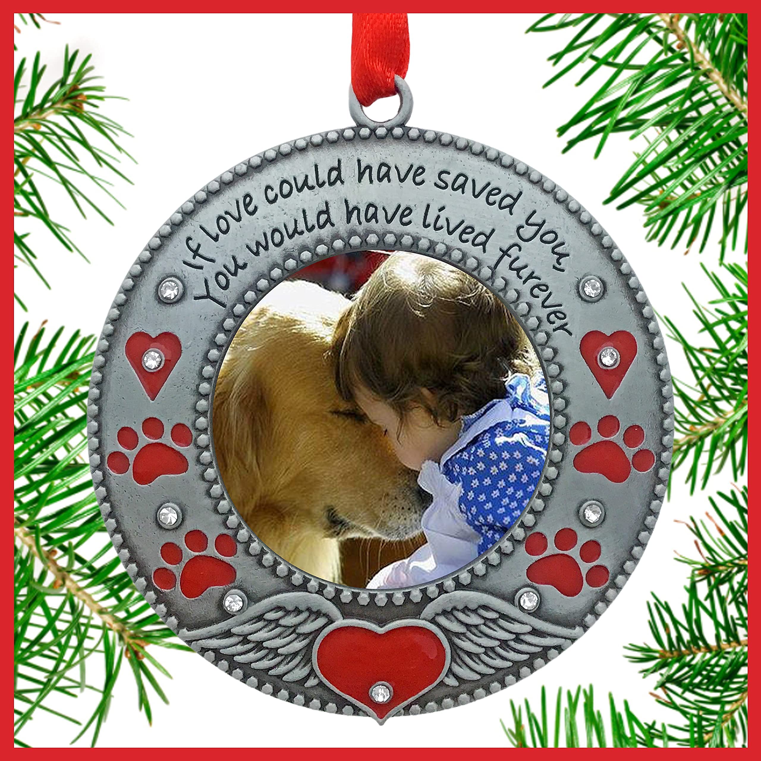 Pet Memorial Photo Ornament - Dog Or Cat - Enameled & Jeweled With Red Hearts, Angel Wings & Paw Prints - Gift/Storage Bag Included - 3' D And Holds A 2' D Photo
