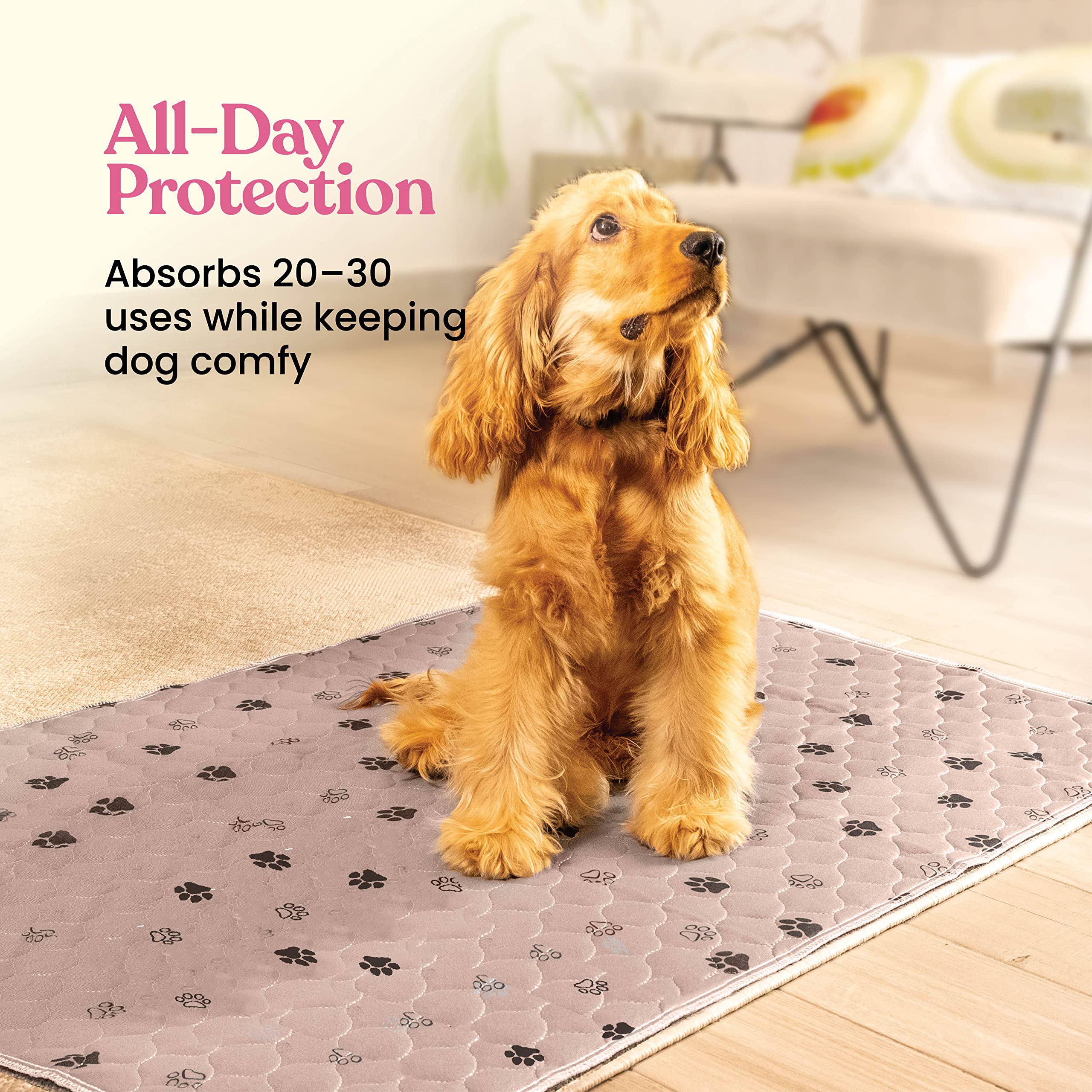 Super Absorbent Washable Pee Pads For Dogs - 2-Pack Superior Reusable Puppy Pads Pet Training Pads -100% Waterproof Dog Pee Pad Protects Against Urine Leakage Non-Slip Grip Prevents Slipping& Bunching