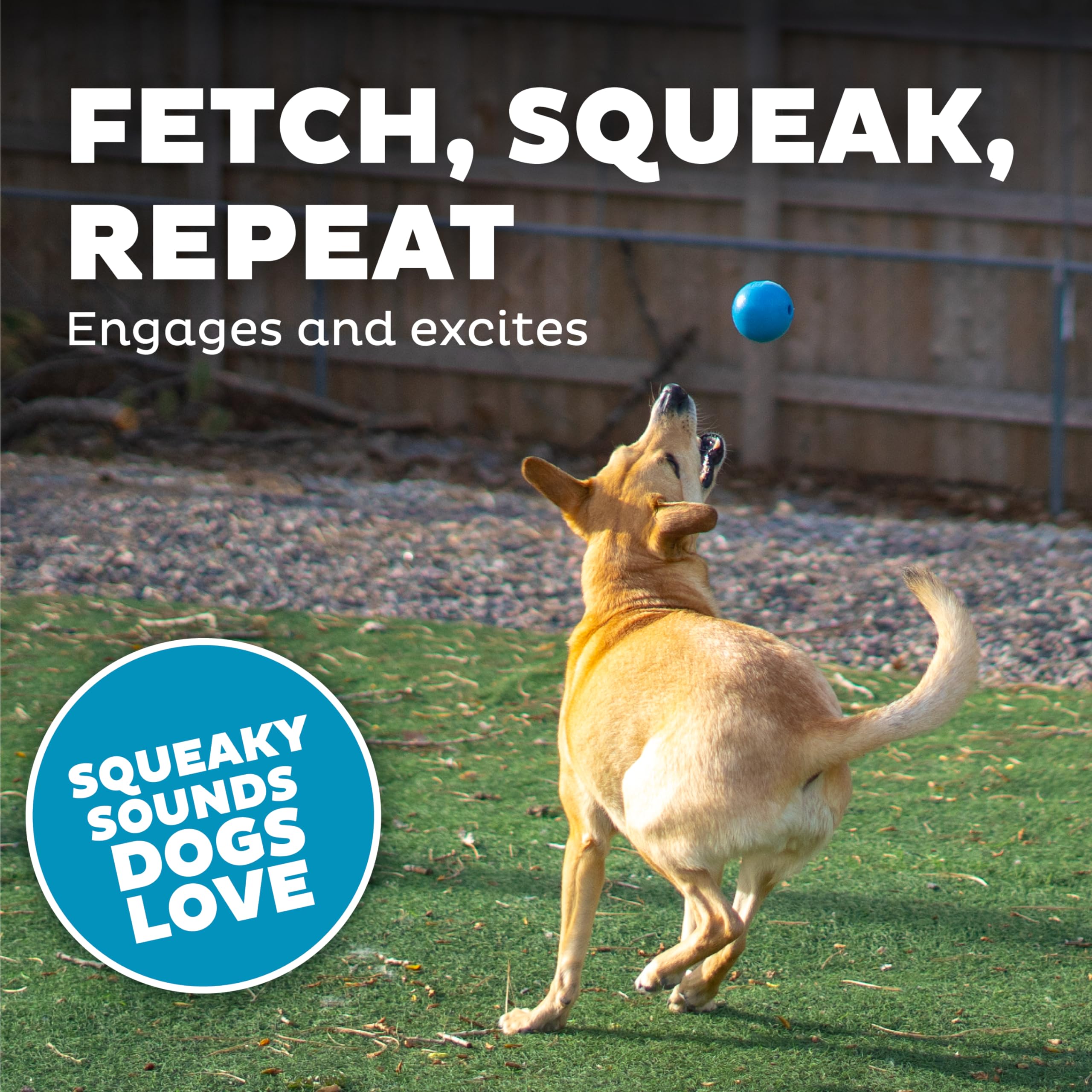 Outward Hound By Planet Dog Squeak Ball Bouncy Fetch Dog Toy, Blue