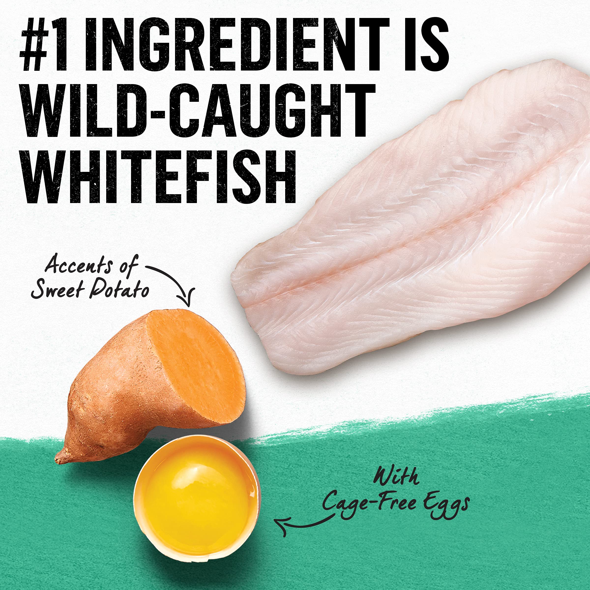 Purina Beyond Grain Free Dry Cat Food, Whitefish & Egg Recipe, 3 lb Bag