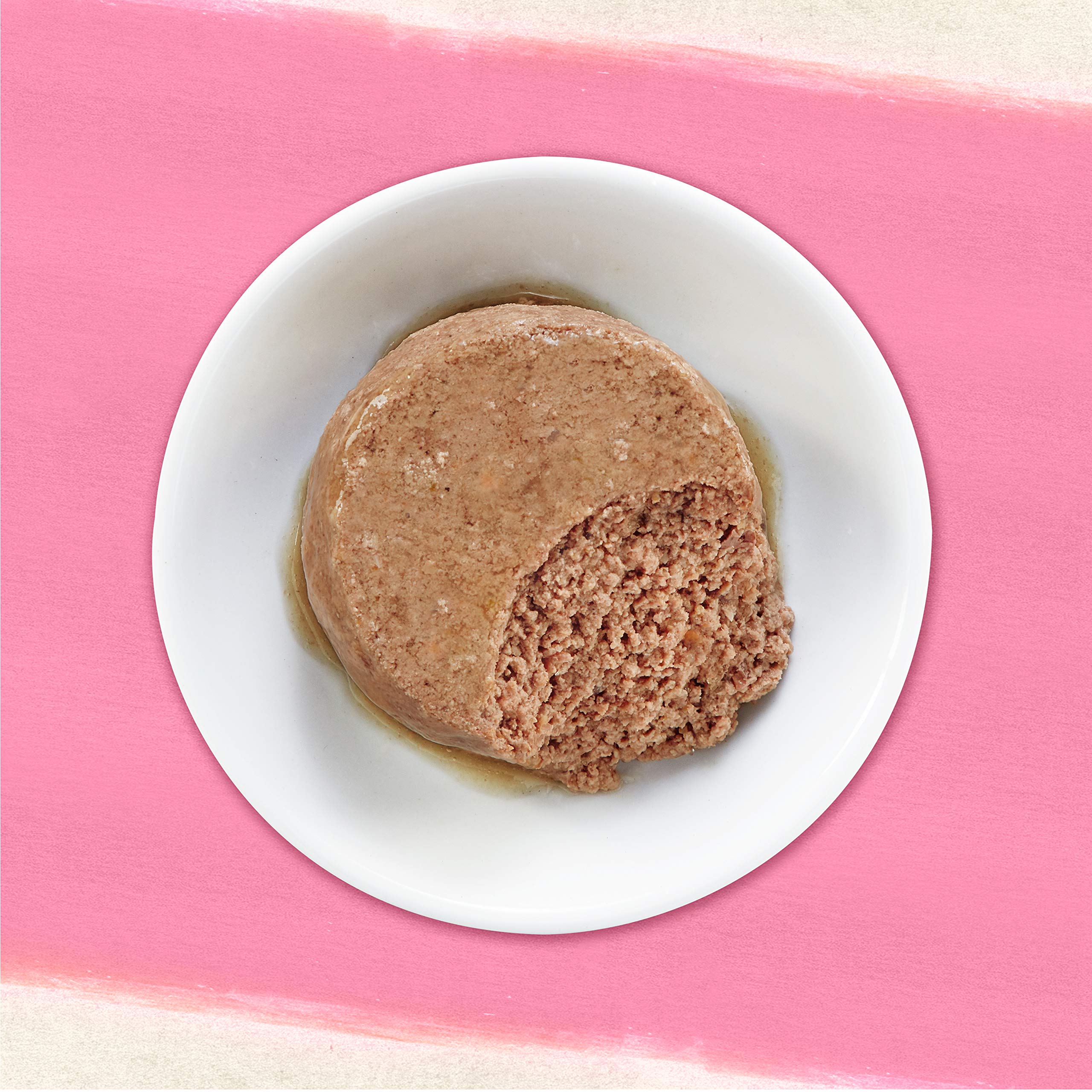 Purina Beyond Wild Salmon Recipe Grain Free Wet Cat Food Pate - (Pack of 12) 3 oz. Cans