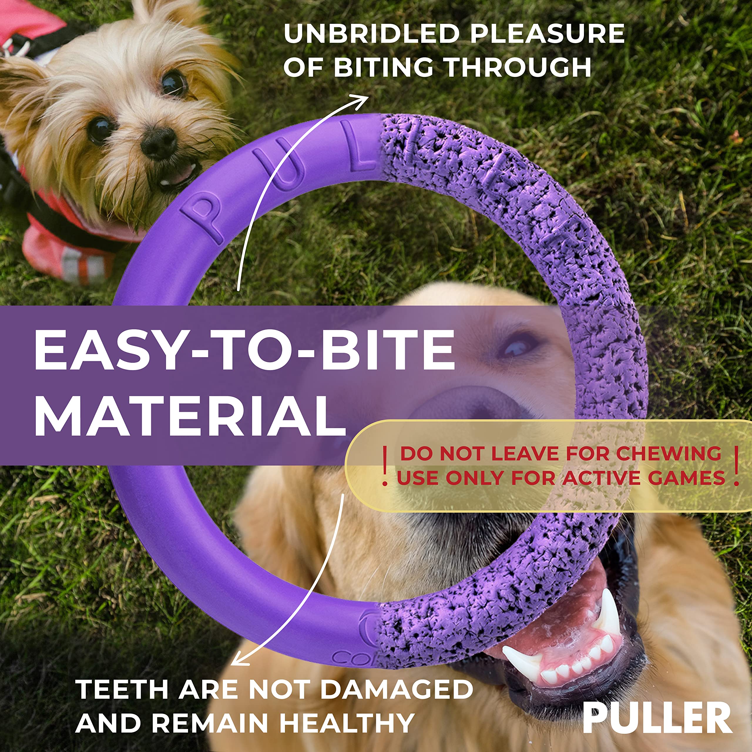COLLAR Interactive Dog Toy Set - 2 Mini Rings, Dental Healthy, Purple, Model 4334816006