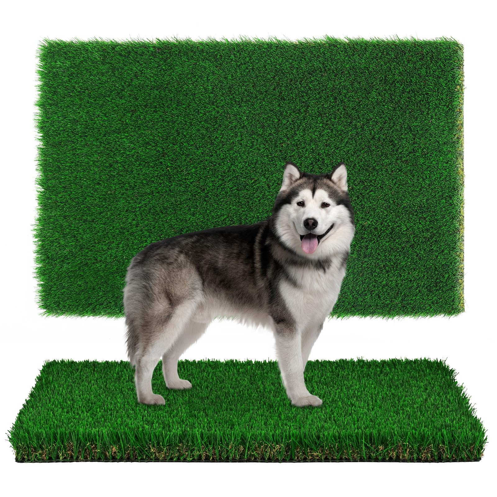 Bjxjnord Artificial Grass For Dogs Potty,Dog Grass Pad ,36.2*60.2Inch Fake Grass Pee Pad For Dogs,Dog Putty Potty Training Grass