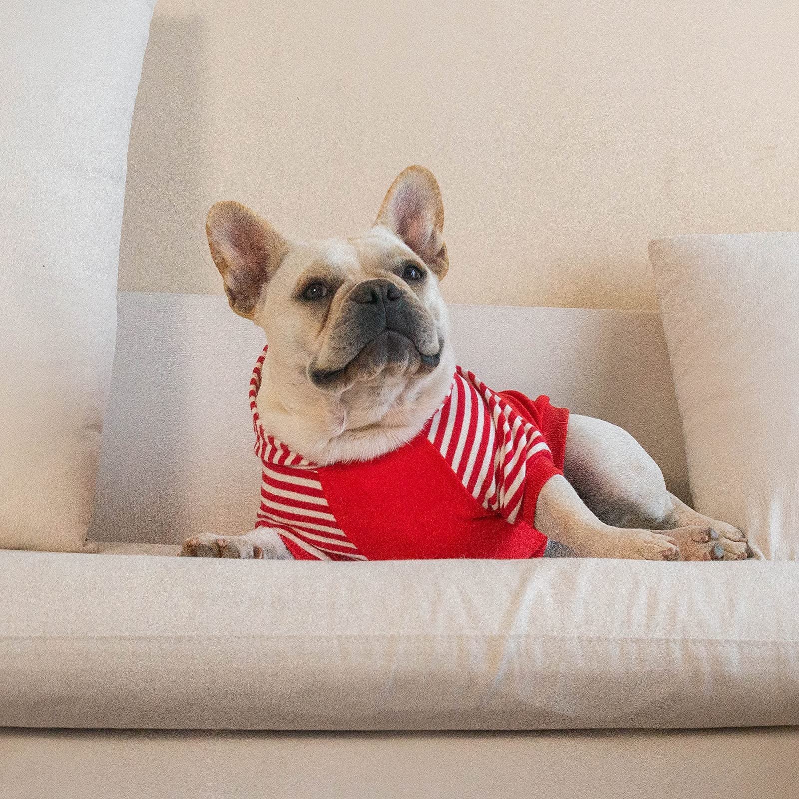 Cutebone Dog Hoodie Shirts Pet Clothes With Hat Red Stripes Dh01Xs