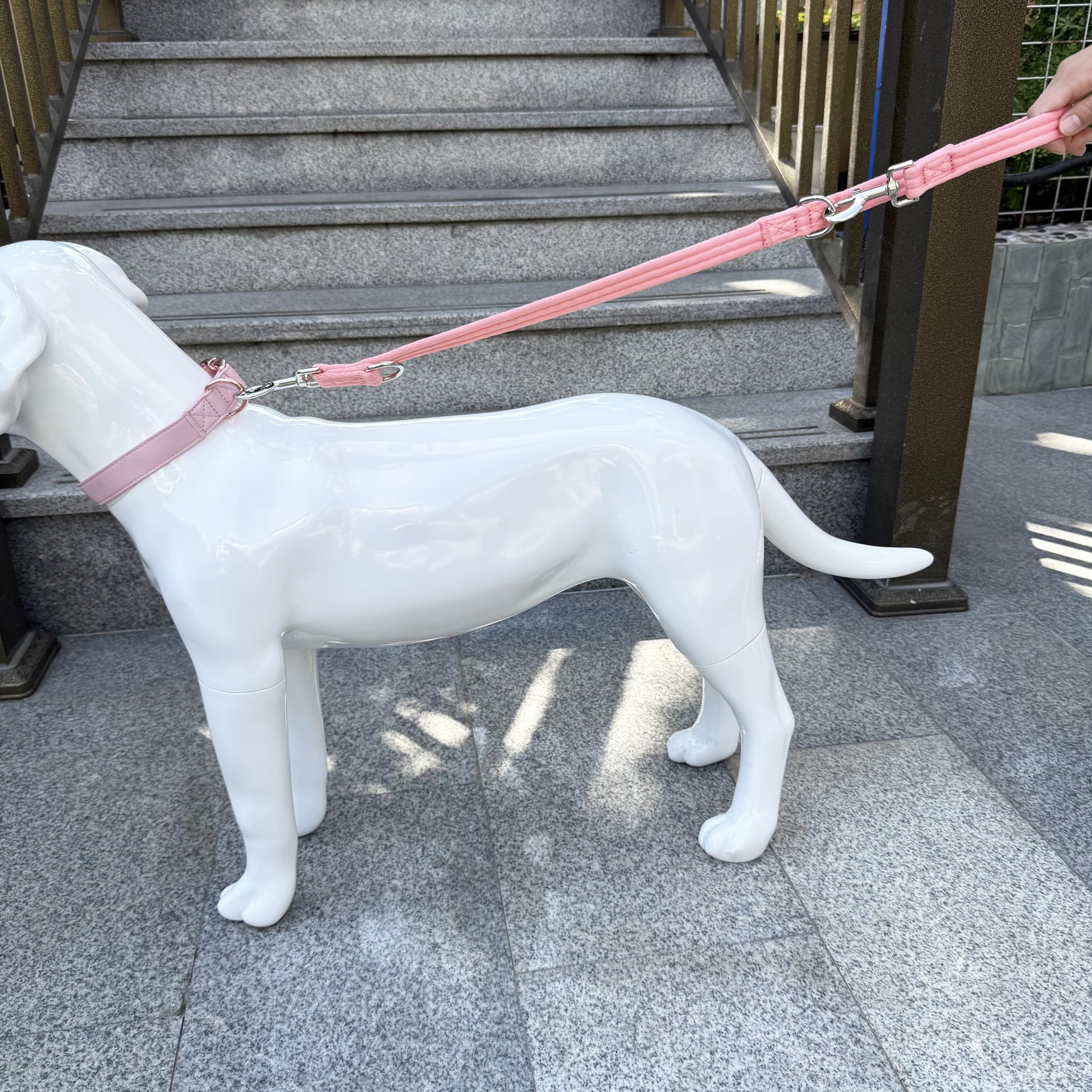 Double Ended Dog Leash,For Obedience Training Easy To Use,Lightweight,Soft For Large And Medium Dogs (Pink, 1M*2.5Cm)