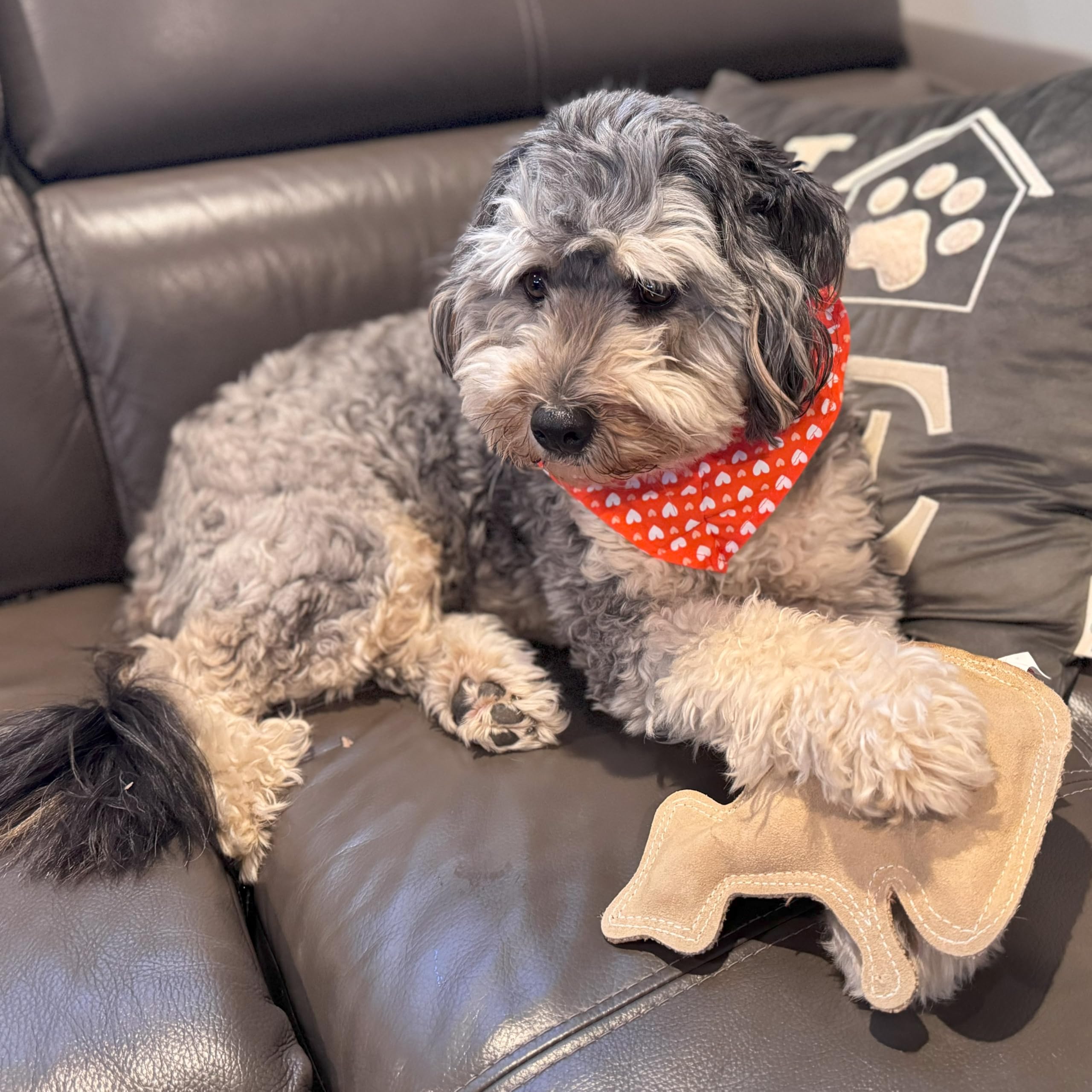 Spot Dura-Fused Leather Raccoon - Dog Toy With Squeaker, Made With Real Leather And Jute Fabric, Interactive Toy For Aggressive Chewers, Durable Squeaky Toy For Dogs And Puppies, 7.25In
