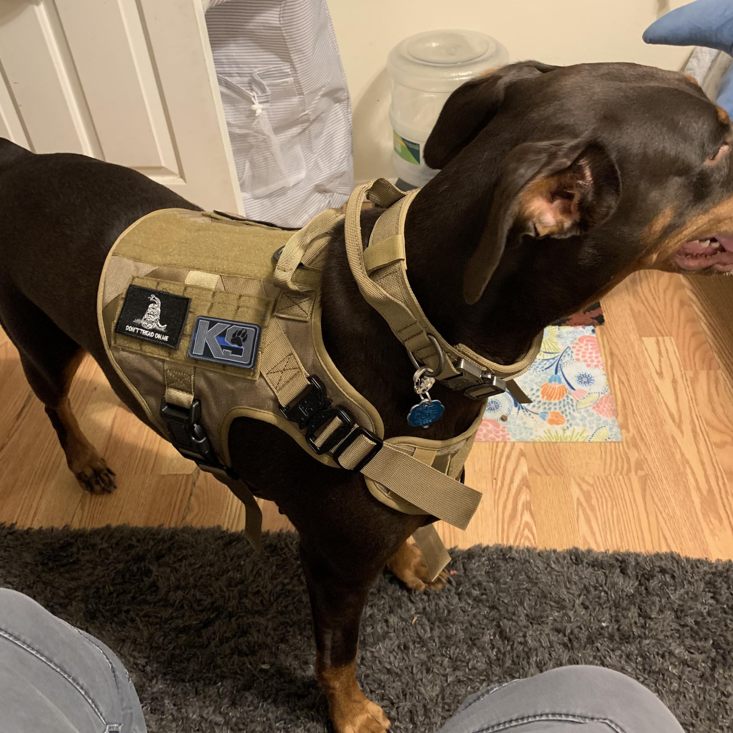 J.Carp 2 Pieces K9 Dog Patches Full Embroidered Badge Patch For Dogs Harness Vest Clothes