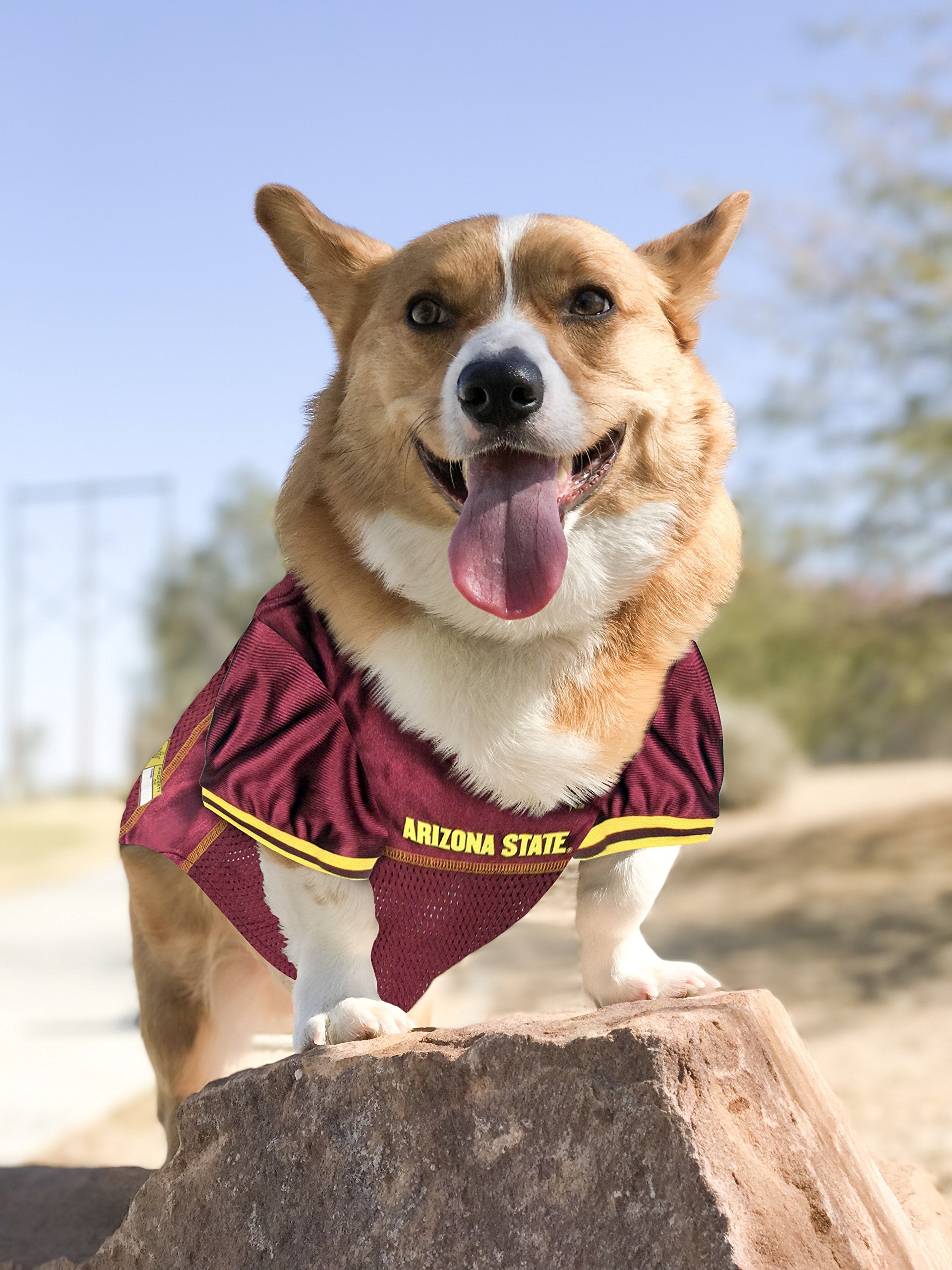 Pets First NCAA College Arizona State Sun Devils Mesh Jersey for DOGS & CATS, X-Large. Licensed Dog Jersey with your Favorite Fo