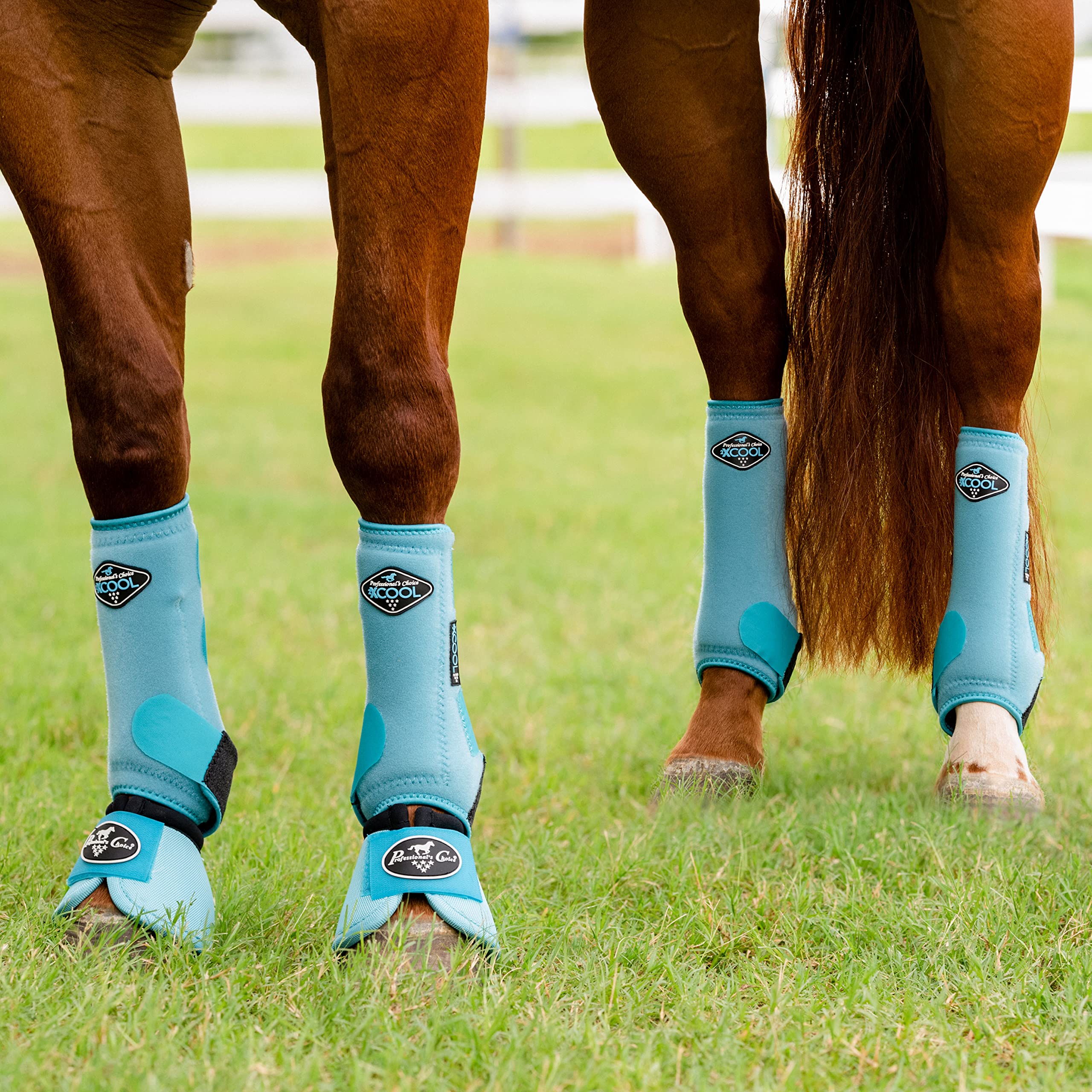 Professional'S Choice 2Xcool Sports Medicine Horse Boots | Protective & Breathable Design For Ultimate Comfort & Durability In A