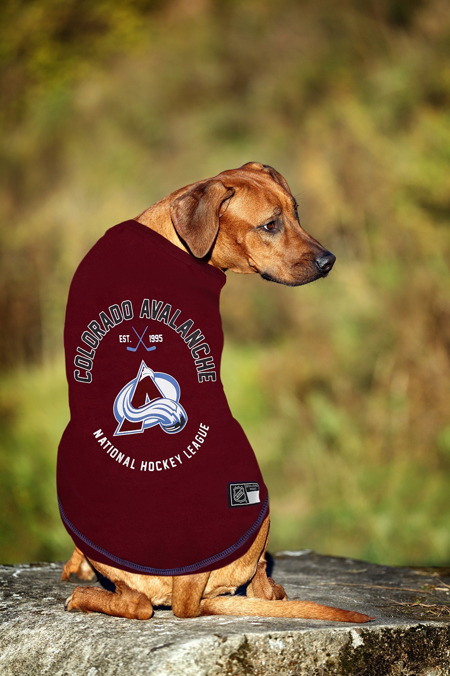 NHL Colorado Avalanche Tee Shirt for Dogs & Cats, X-Small. - Are You A Hockey Fan? Let Your Pet Be An NHL Fan Too!