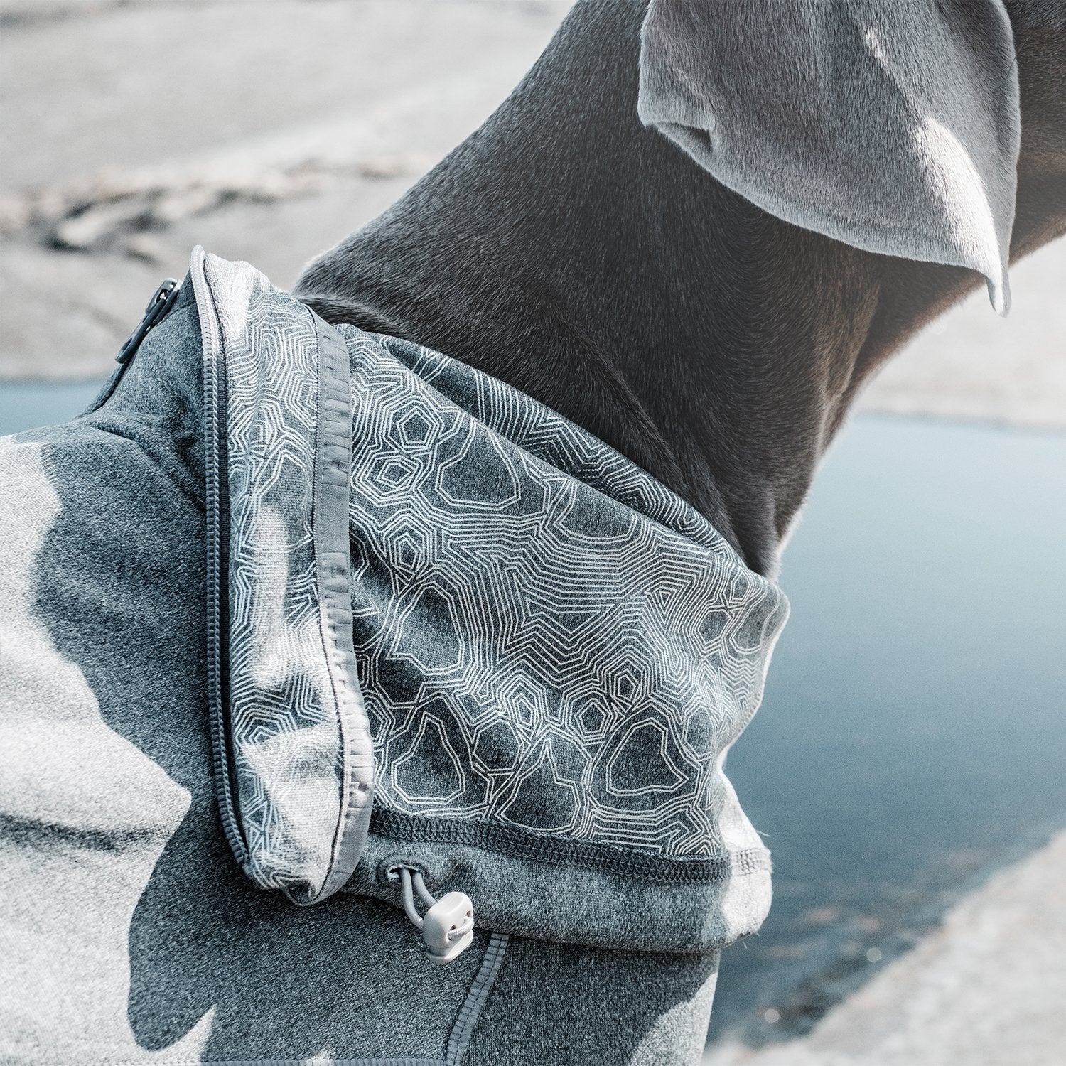 Hurtta Body Warmer Dog Body Suit, Recovery Suit, Carbon Grey, 18M