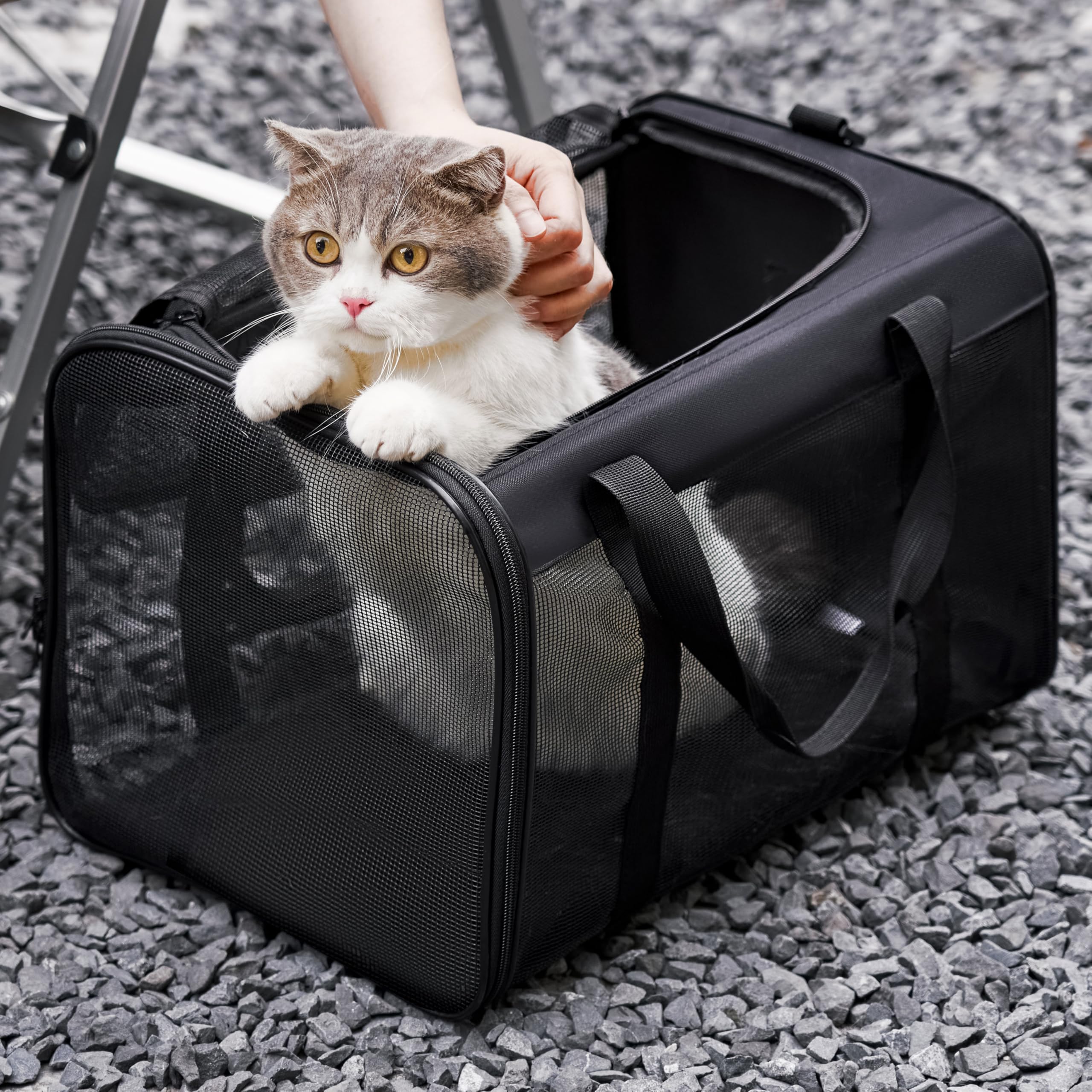 Conlun Cat Carrier Bag,Soft-Sided Pet Carriers For Dogs With 4-Sided Mesh,Airline Approved Cat Transport Carrier For Small&Mediu