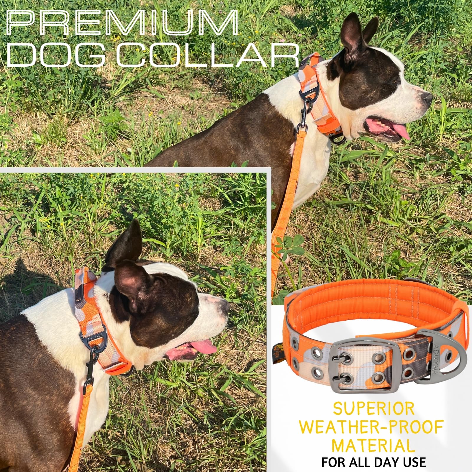 Adityna Heavy Duty Dog Collar For Medium Dogs - Camo Orange Collar With Handle For Training, And Walking - Wide, Thick, Tactical