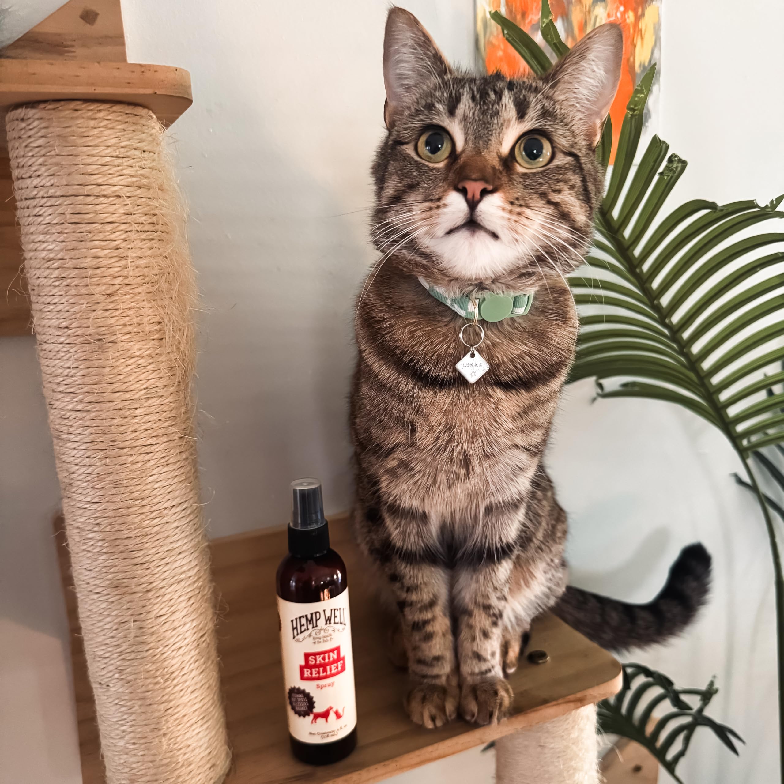 Hemp Well Skin Itch Relief Spray for Dogs and Cats - Hemp Seed Oil, Witch Hazel, Rosemary Oil