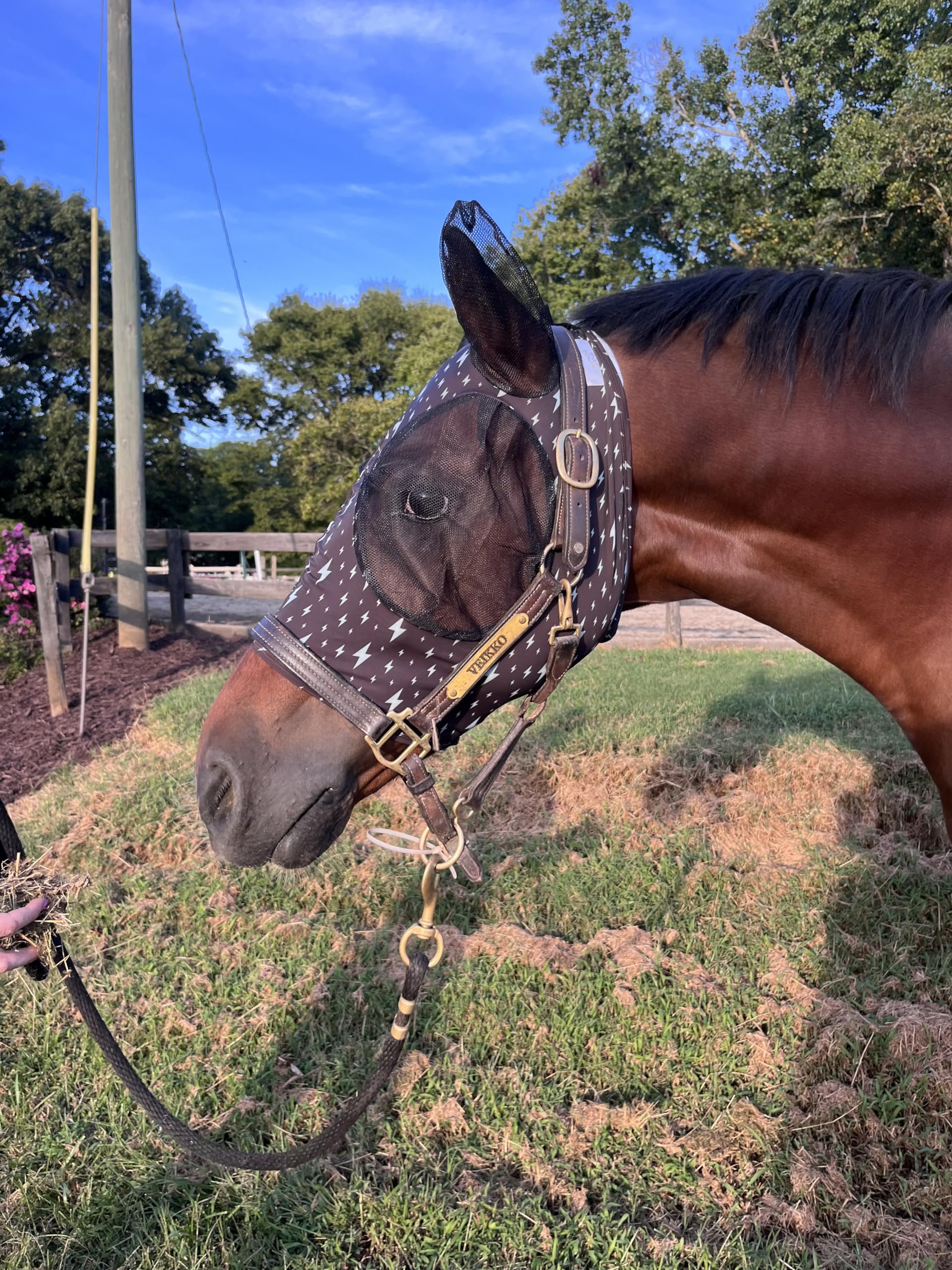 Stretchy Horse Fly Mask with Ears Comfort Fit Mesh Trail Pasture Sun UV Protection
