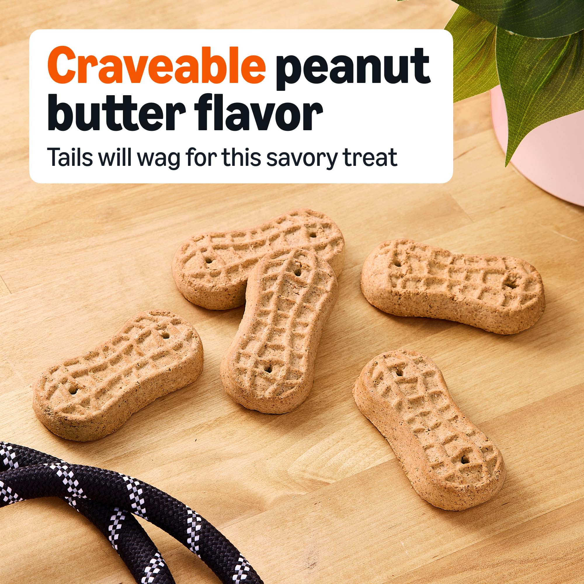 Amazon Basics Peanut Butter Flavor Biscuits Dog Treats 5 lb. Box