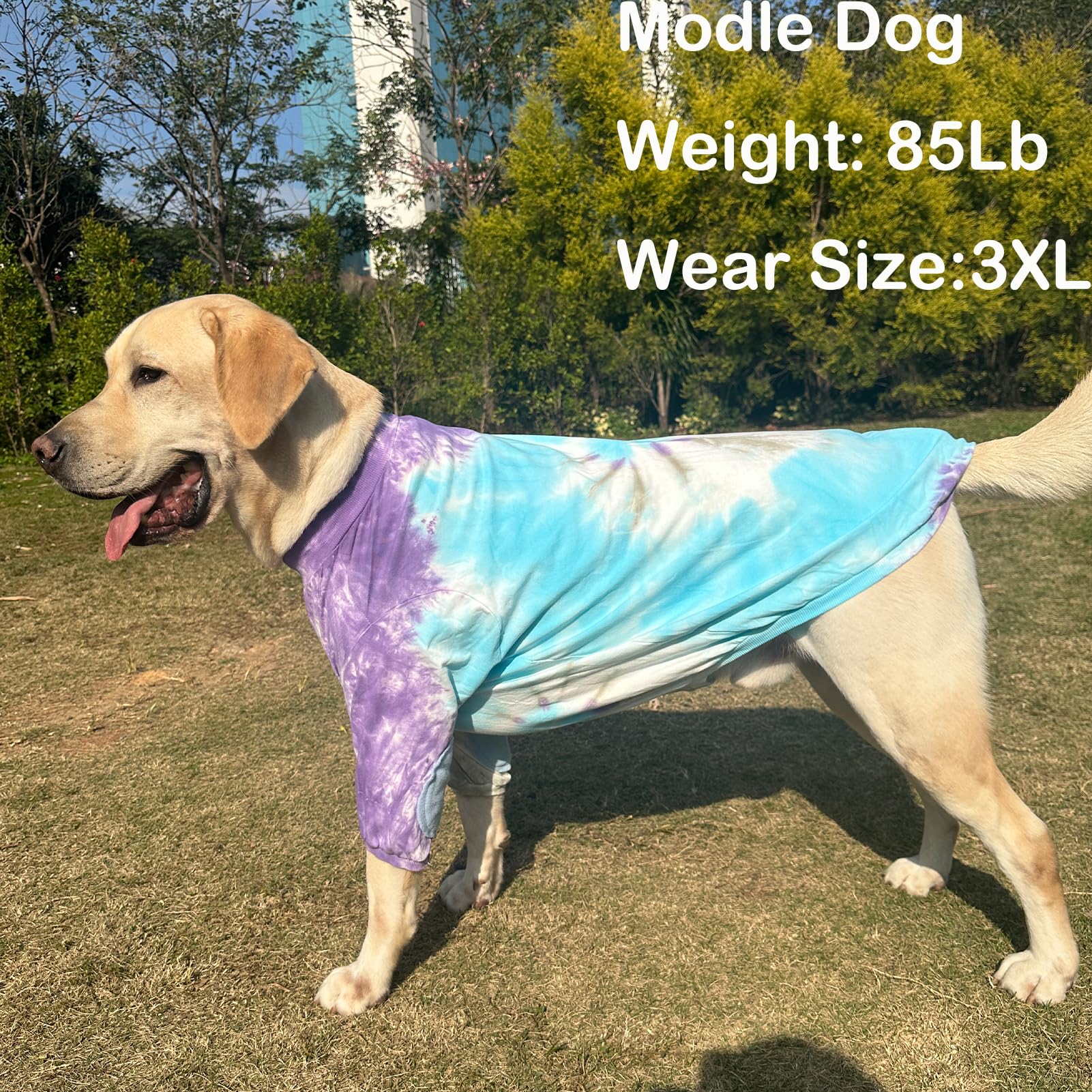 PriPre Dog Cotton Colorful Purple T-Shirts Soft and Stretchy Dog Shirt Pajamas Pets Clothes for Extra Large Dogs(3XL Purple)