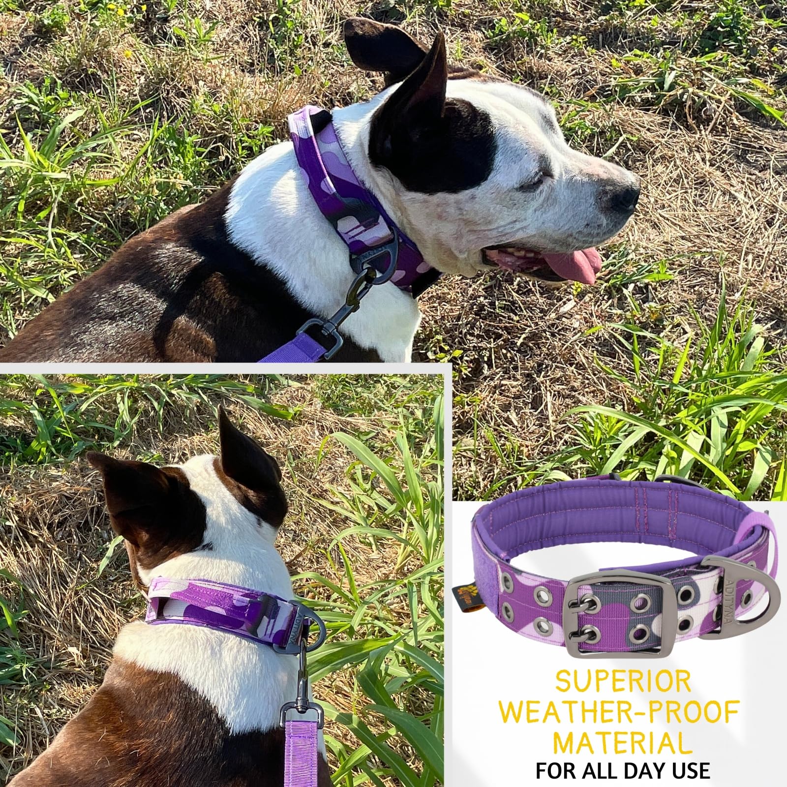 Adityna Heavy Duty Dog Collar For Extra-Large Dogs - Camo Purple Collar With Handle For Training, And Walking - Wide, Thick, Tac