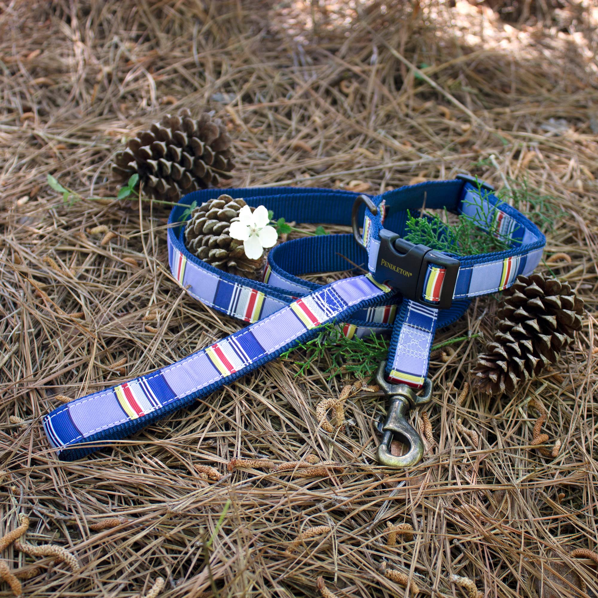 Pendleton Pet National Park Hiker Collar (S, Yosemite)
