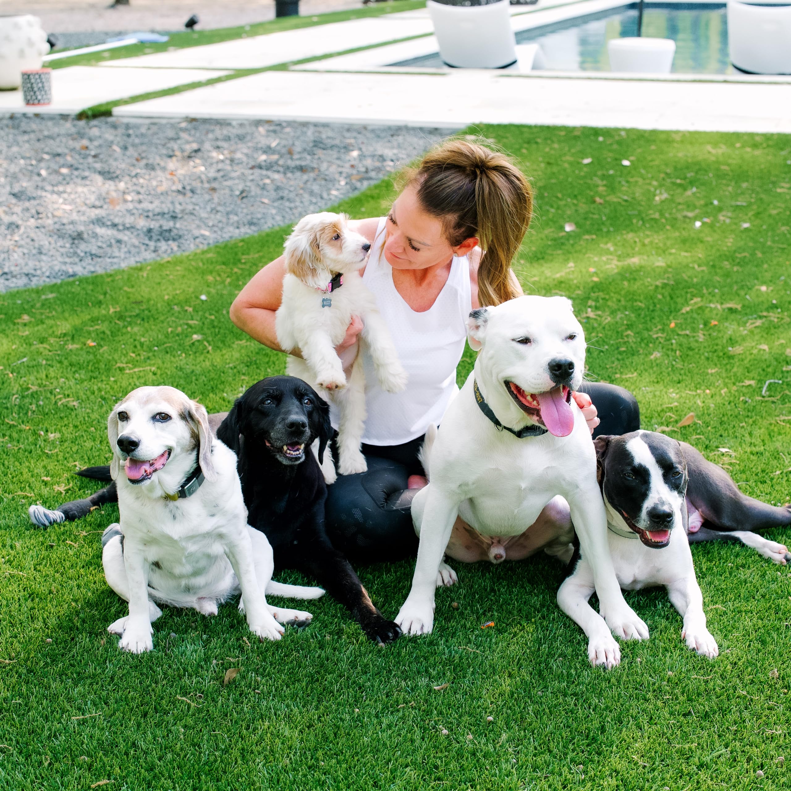 My Pet Peed 1 Gallon Refill Pet Stain & Complete Odor Eliminator (Sprayer Not Included)