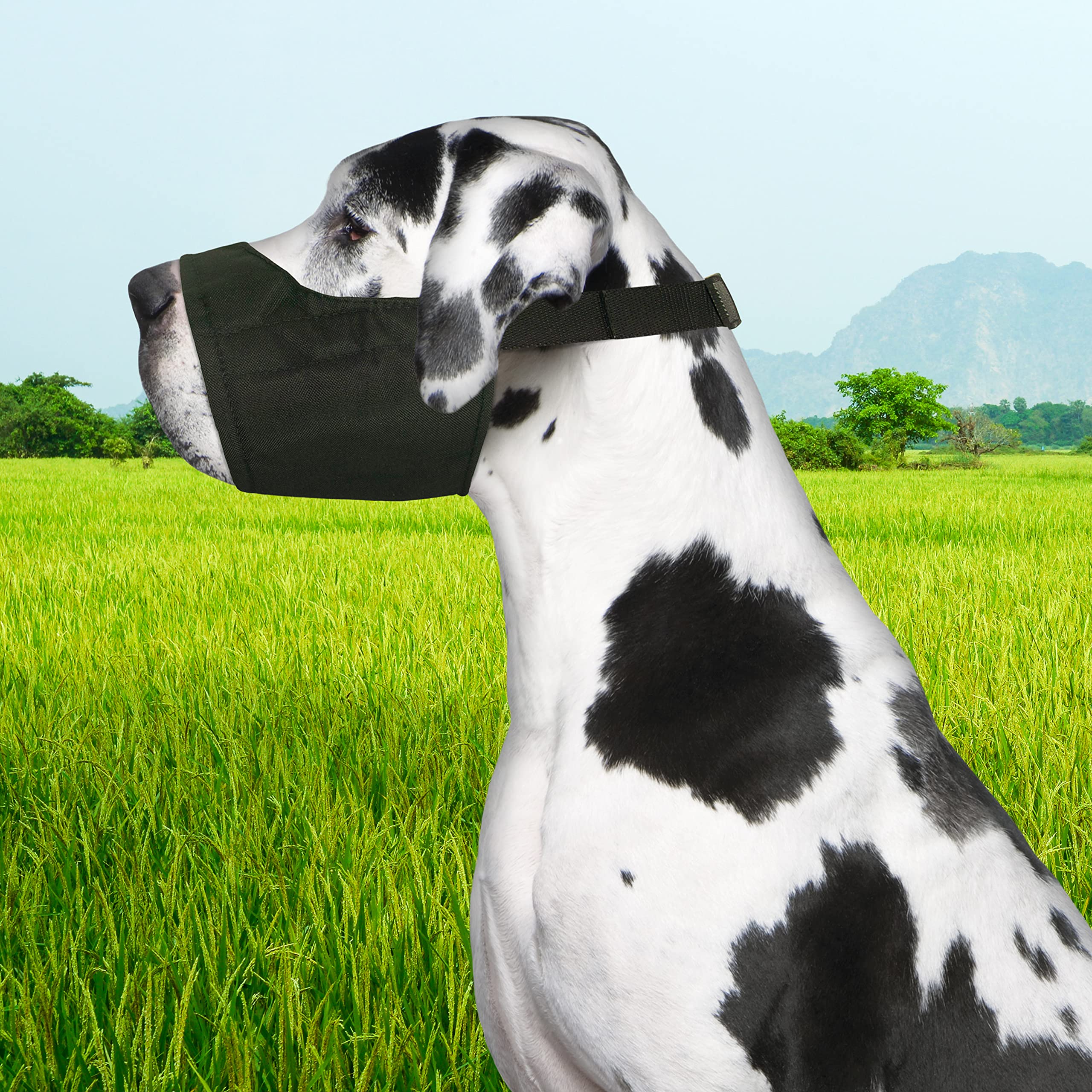 Four Paws Quick Fit Dog Muzzle, Black, Size 5