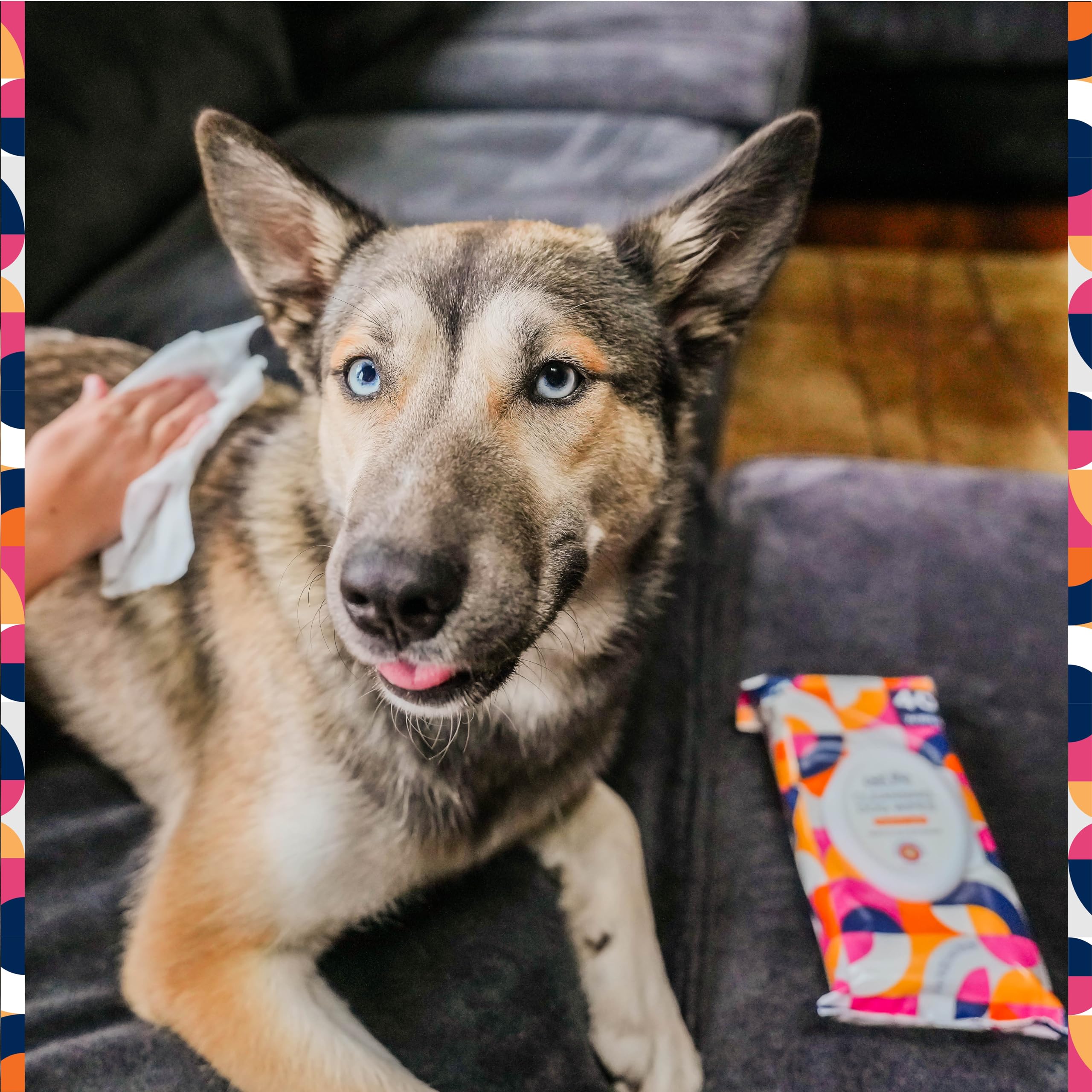 Pl360 Dog Grooming Wipes For Cleansing & Deodorizing | Pet Wipes For Dogs, Cats, Puppies & Kittens | Mandarin Scent | Eco Friendly, Natural And Safe Ingredients | 40 Count