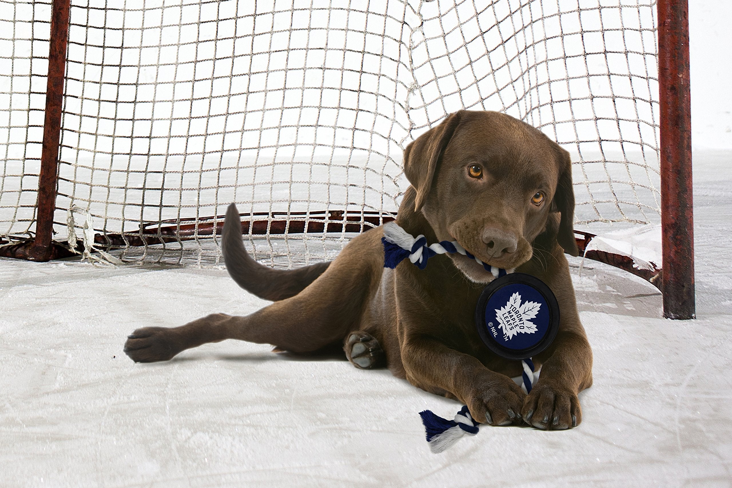 Pets First Nhl Toronto Maple Leafs Puck Toy For Dogs & Cats. Play Hockey With Your Pet With This Licensed Dog Tough Toy Reward!