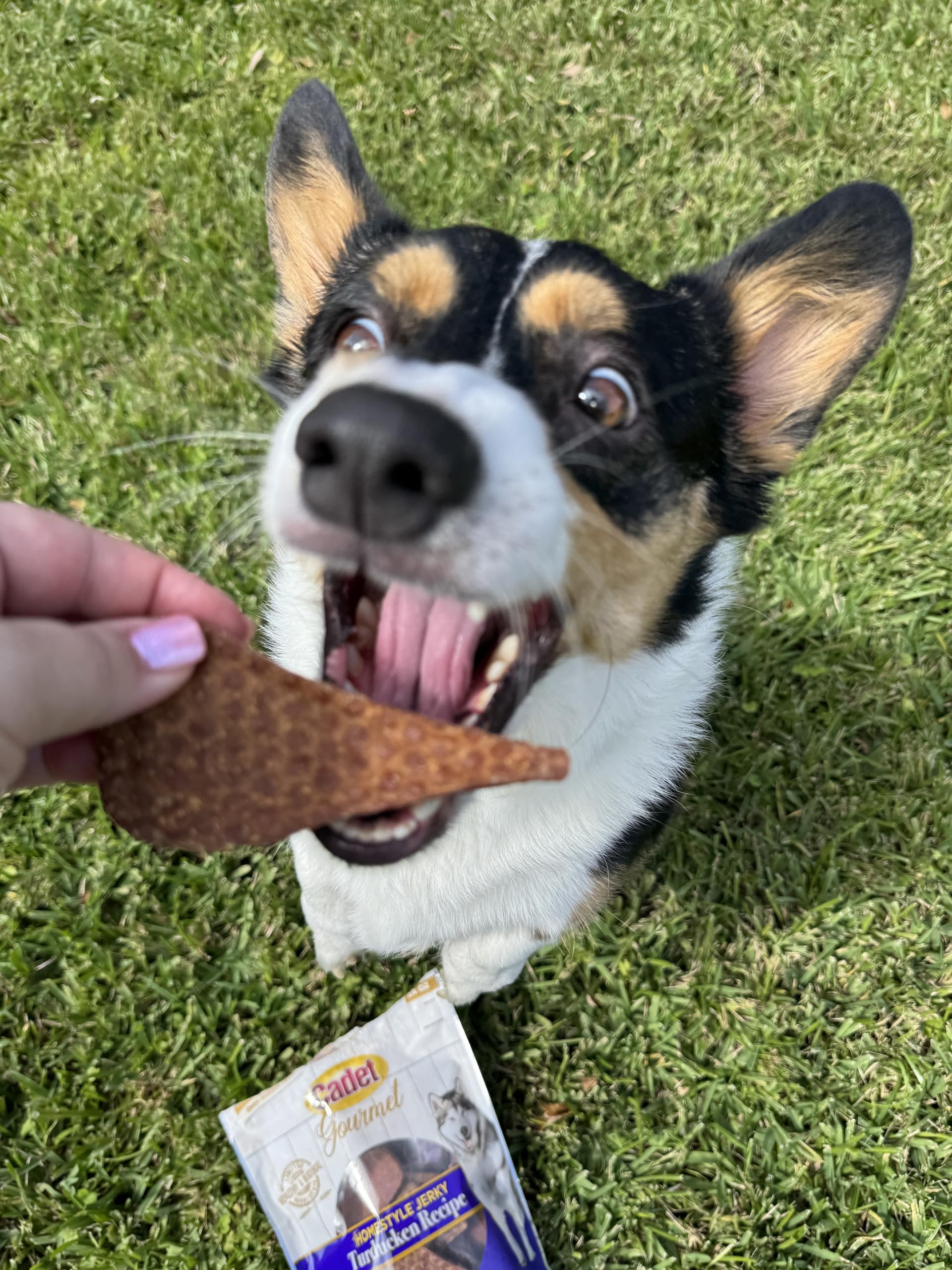 Cadet Gourmet Homestyle Turducken Recipe Jerky Chews for Dogs, Healthy Natural Dog Training Treats Made with Real Turkey, Duck &