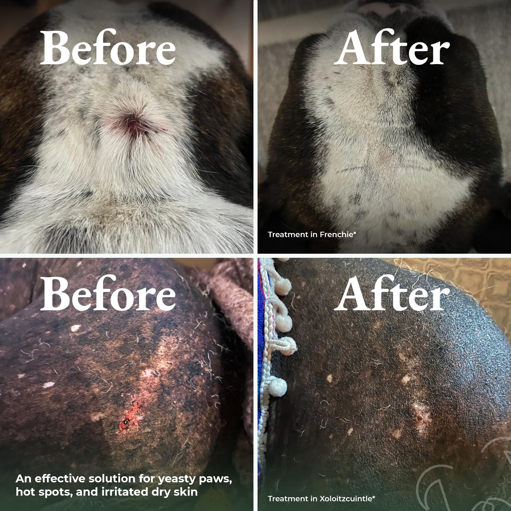 Dry Shampoo For Dogs - Itchy Skin & Hot Spot Relief, Yeast Infection & Paw Licking Treatment, Antifungal Dog Powder With Allergy