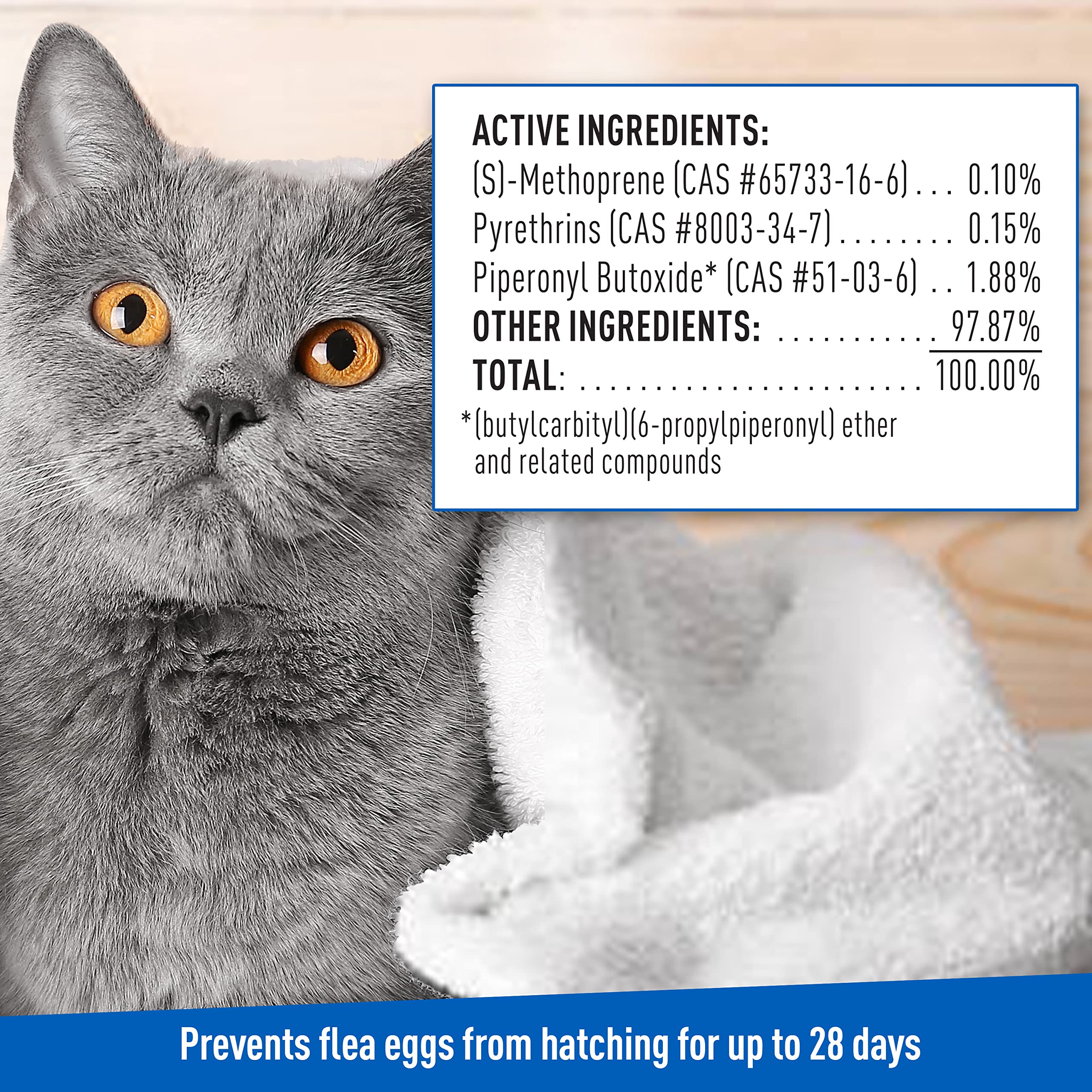 Adams Plus Flea & Tick Foaming Shampoo & Wash for Cats & Kittens Over 12 Weeks | Sensitive Skin Flea Treatment for Cats and Kitt