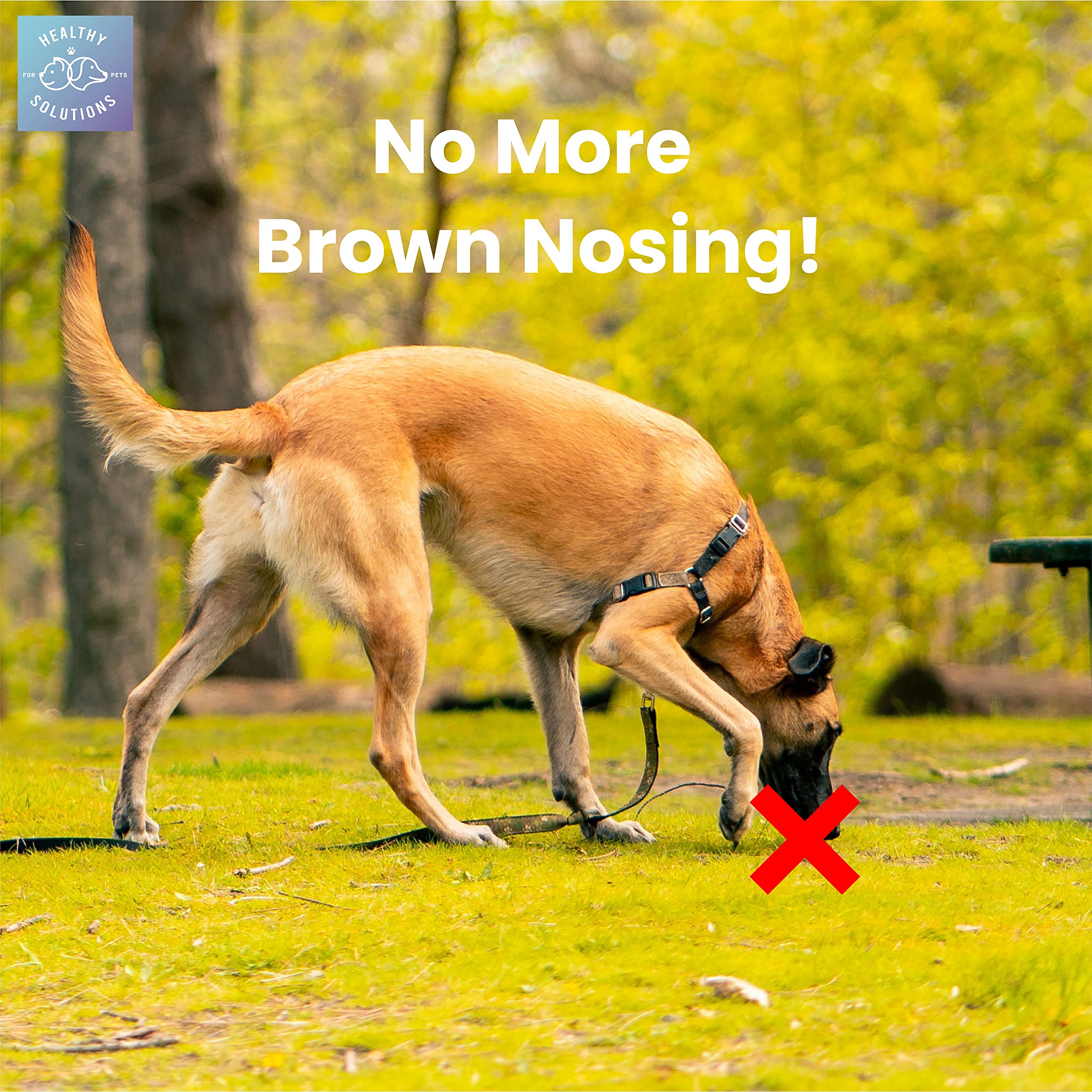 Deterrent for Dogs Eating Poop - Coprophagia No Poo Chews Prevent Dog from Eating Stool - Chew Enhanced with Breath Freshener, E