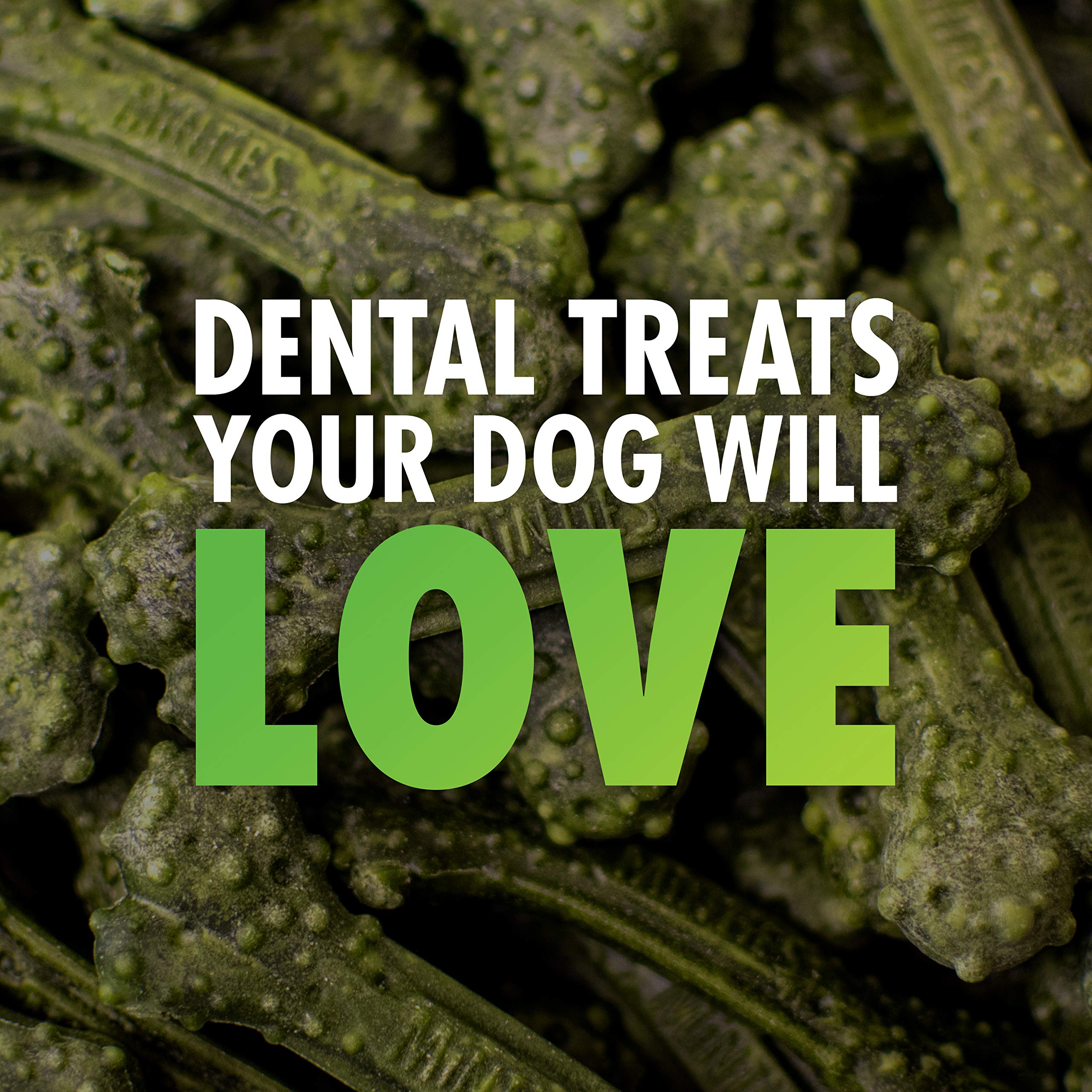 VetIQ Minties Dog Dental Bone Treats, Dental Chews for Dogs, (Perfect for Tiny / Small Dogs under 40 lbs), 80 Treats (box)
