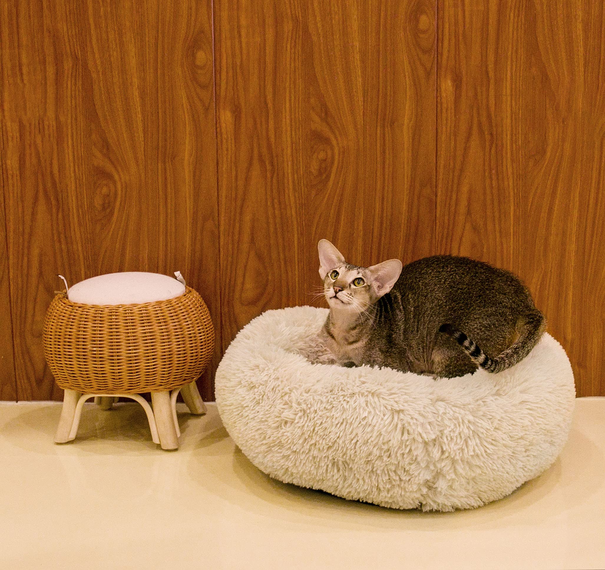 Qucey Calming Cat Beds for Indoor Cats, Anti Anxiety Round Fluffy Plush Faux Fur Cat Bed, Washable 23 inches Small Dog Bed & Cat
