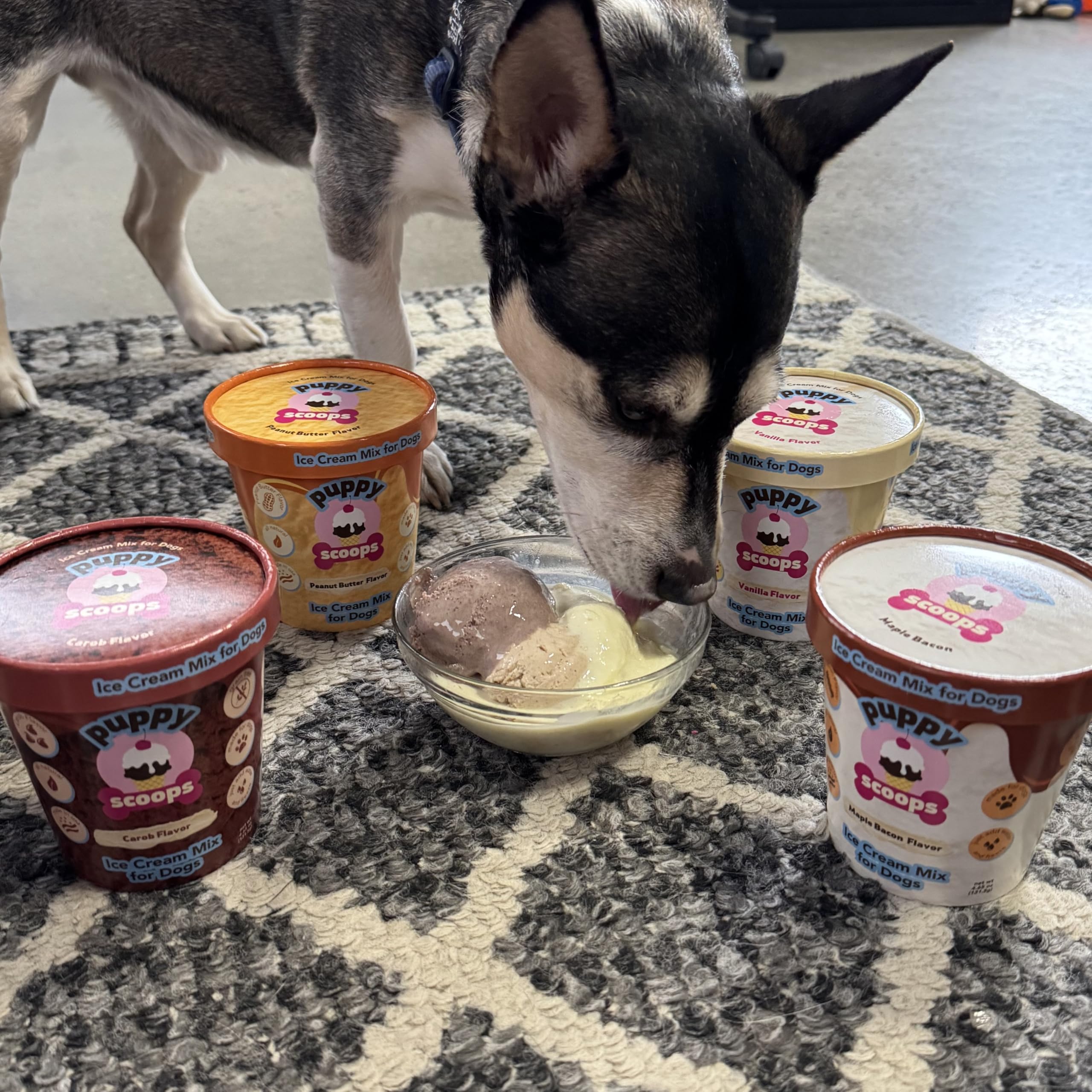 Puppy Scoops Dog Ice Cream Mix Variety Pack, 4 Flavors, 4.65 oz Each - Just Add Water and Freeze at Home, Powder Mix with Ice Cr
