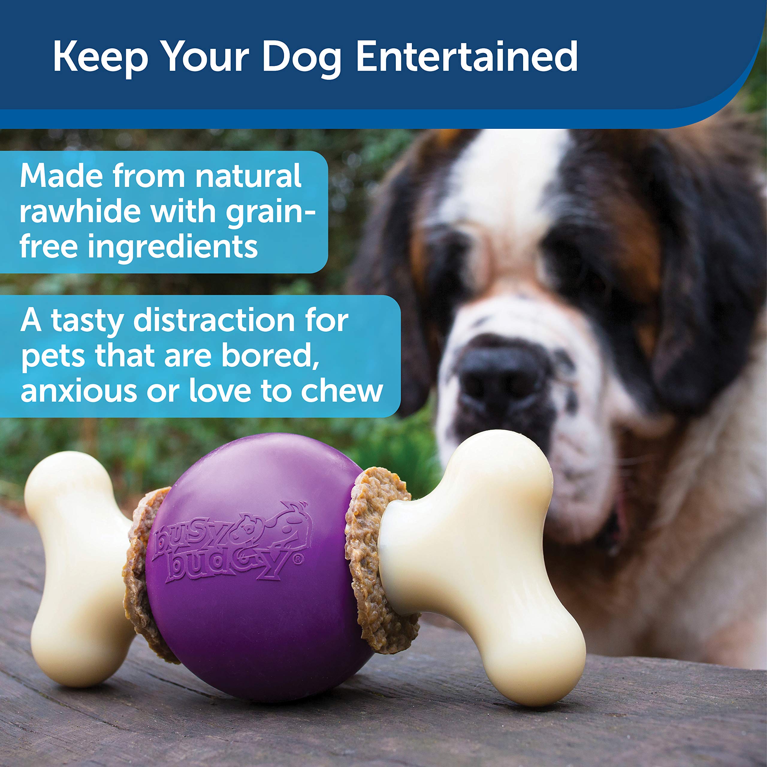 Petsafe® Busy Buddy® Bouncy Bone™, Treat Holding Dog Toy, Medium, Best For Dogs 10-50 Lb.