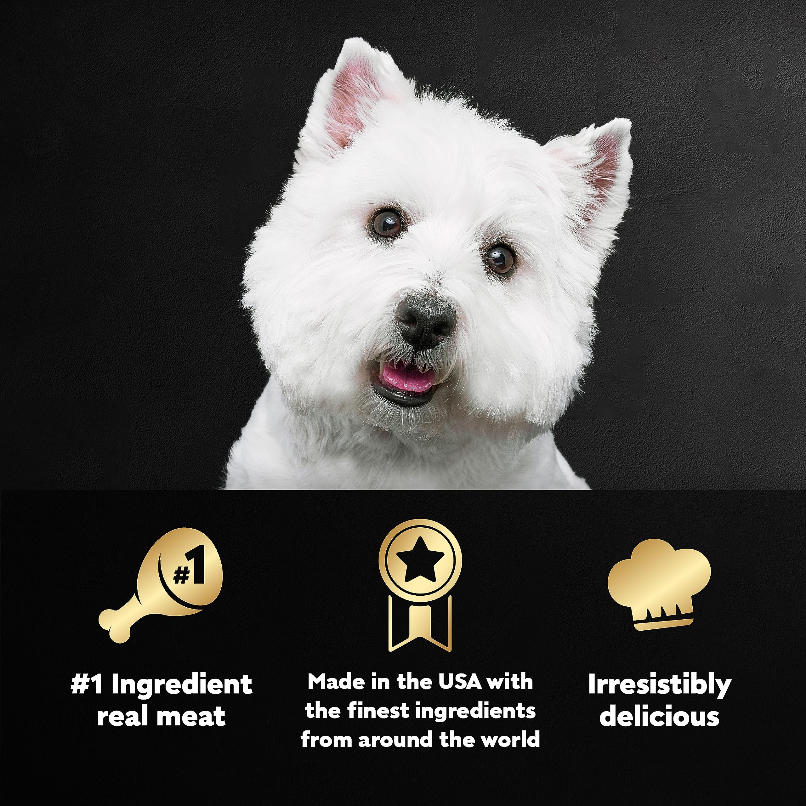 CESAR Adult Wet Dog Food Loaf in Sauce Rotisserie Chicken, Filet Mignon, Angus Beef, and Ham & Egg Flavors Variety Pack, 3.5 oz.