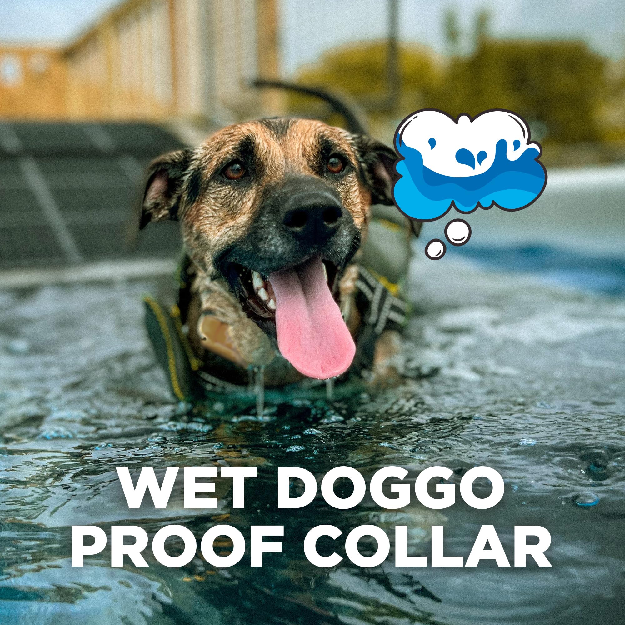 Dogtra Cue Green - E-Collar For Dogs Training Collar With Remote - Training Made Easy For Everyday Dog Owners - Gentle Vibration