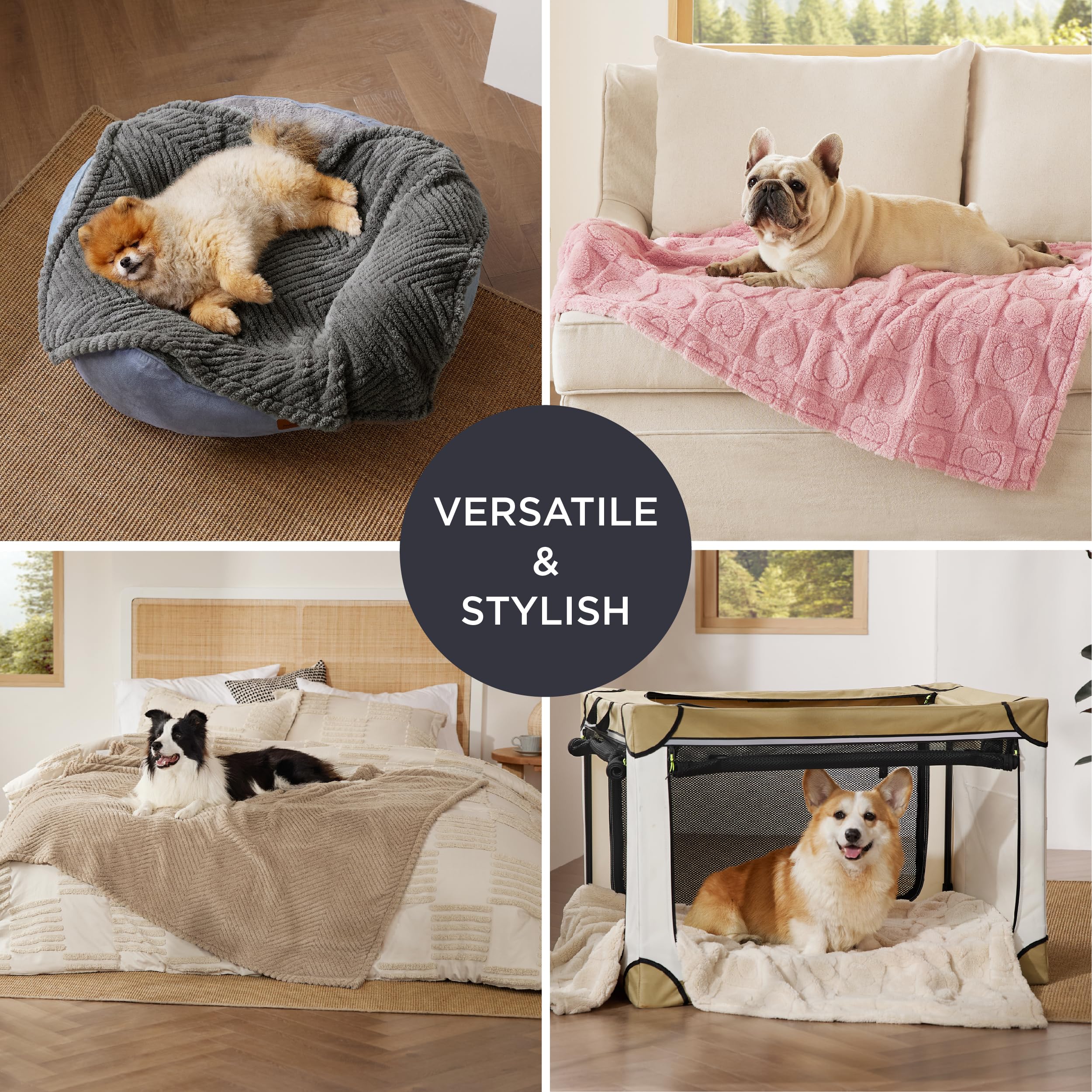 Bedsure Dog Blanket For Medium Dogs Washable - Fluffy Fuzzy Puppy Cat Blanket With Premium 300Gsm Coral Fleece Soft For Pet Kitt