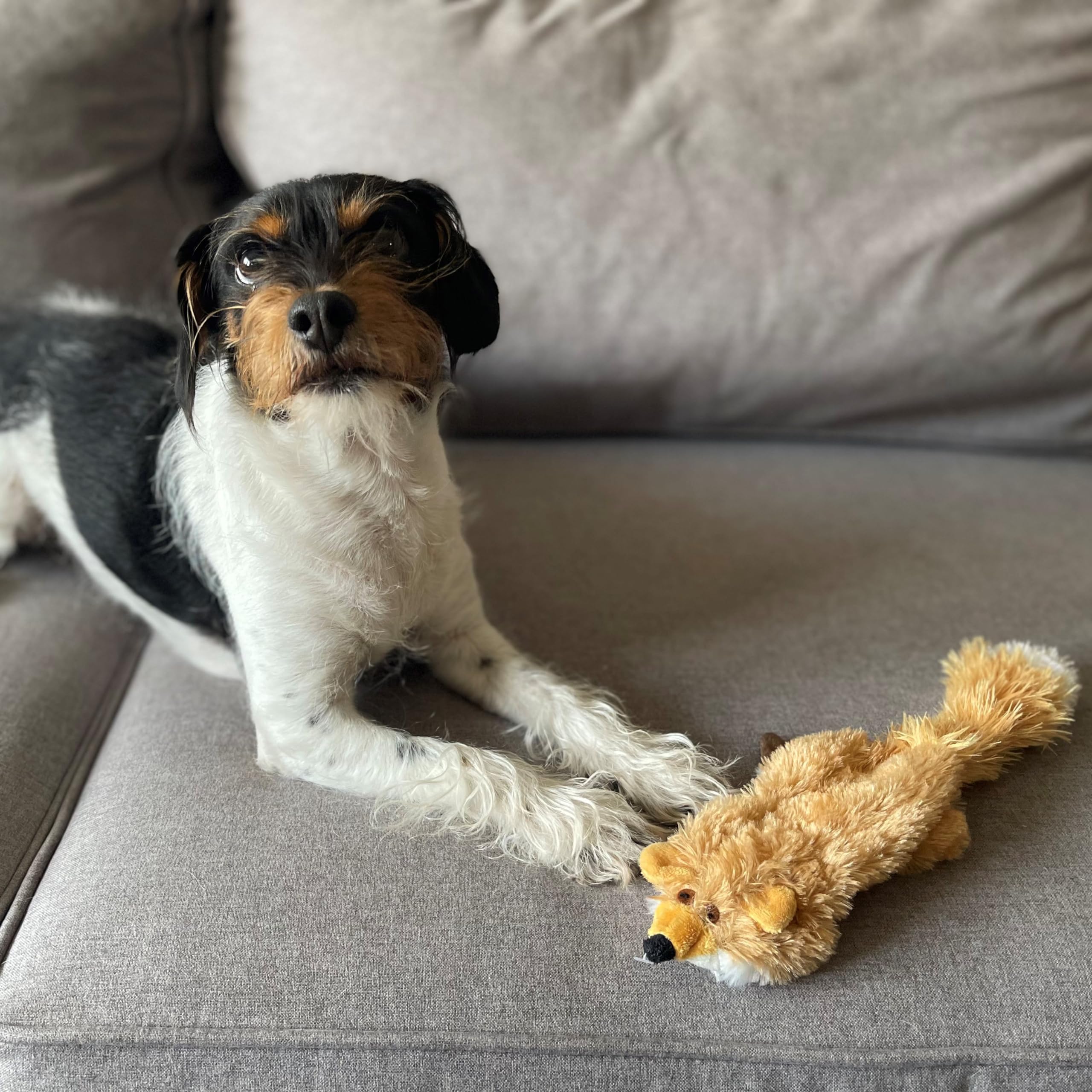Spot Mini Skinneeez Fox- Stuffless Dog Toy With Squeaker-No Stuffing Squeaky Dog And Puppy Toys, Unstuffed Chew Toy For Small &