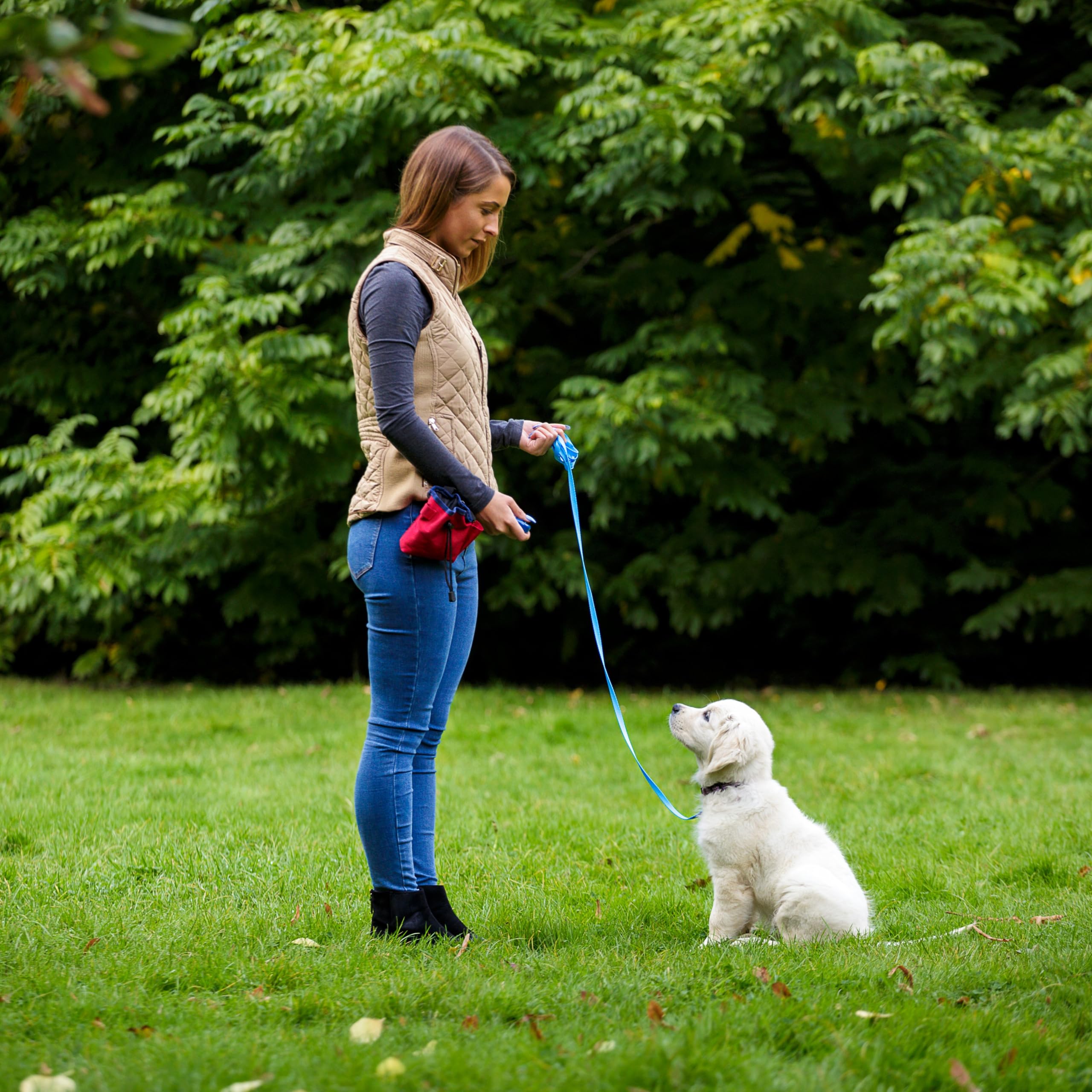 Company Of Animals Multi-Clicker, Adjustable Volume, Loud And Quiet Clicks, Easy To Click, Wrist Strap, For All Dogs Including Sensitive Dogs And Puppies